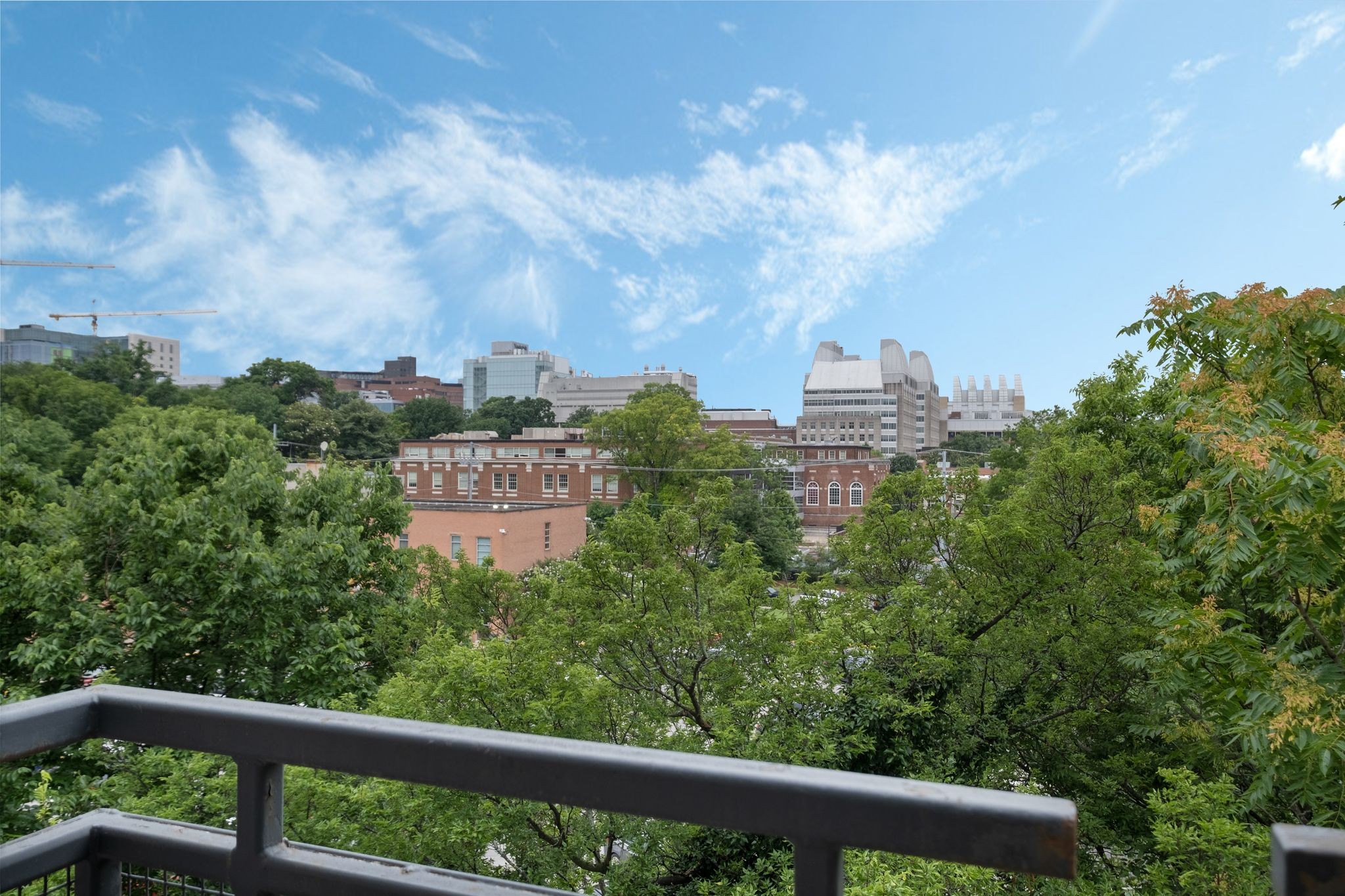 1101 18th Ave, S Unit: 513