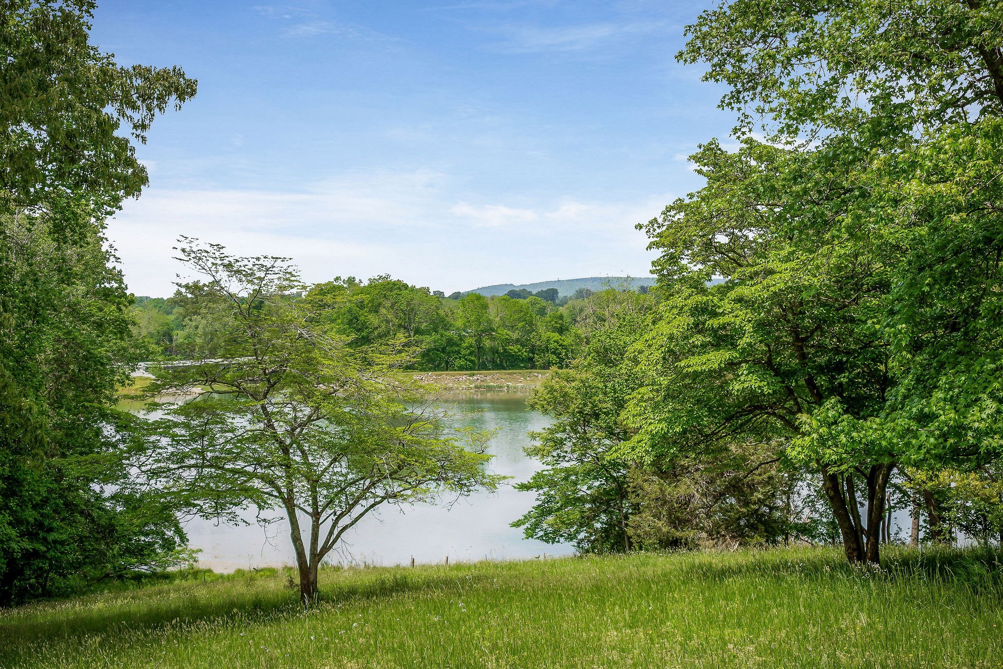 163 Bilbrey Rd