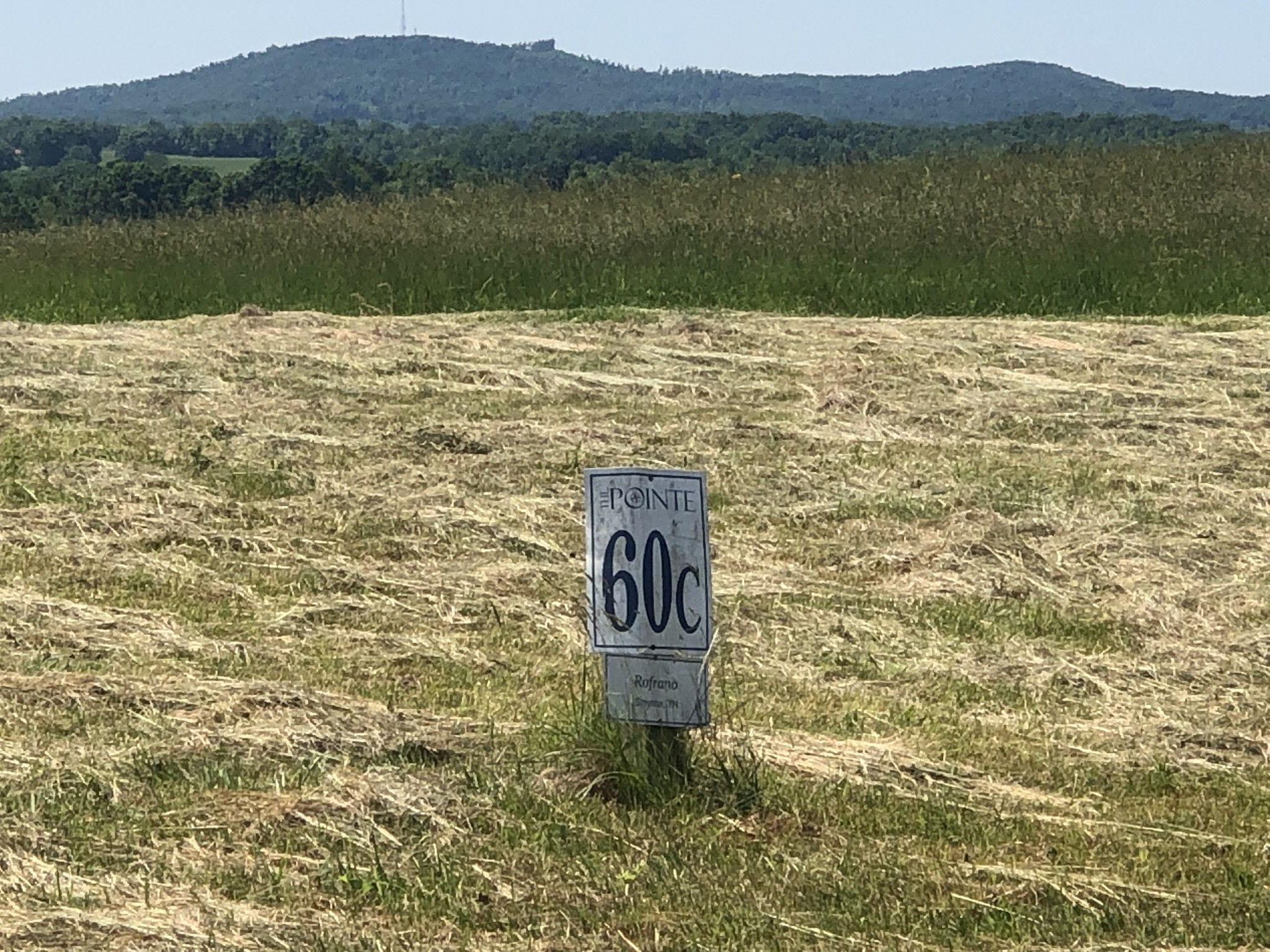 60C Walleye Rd