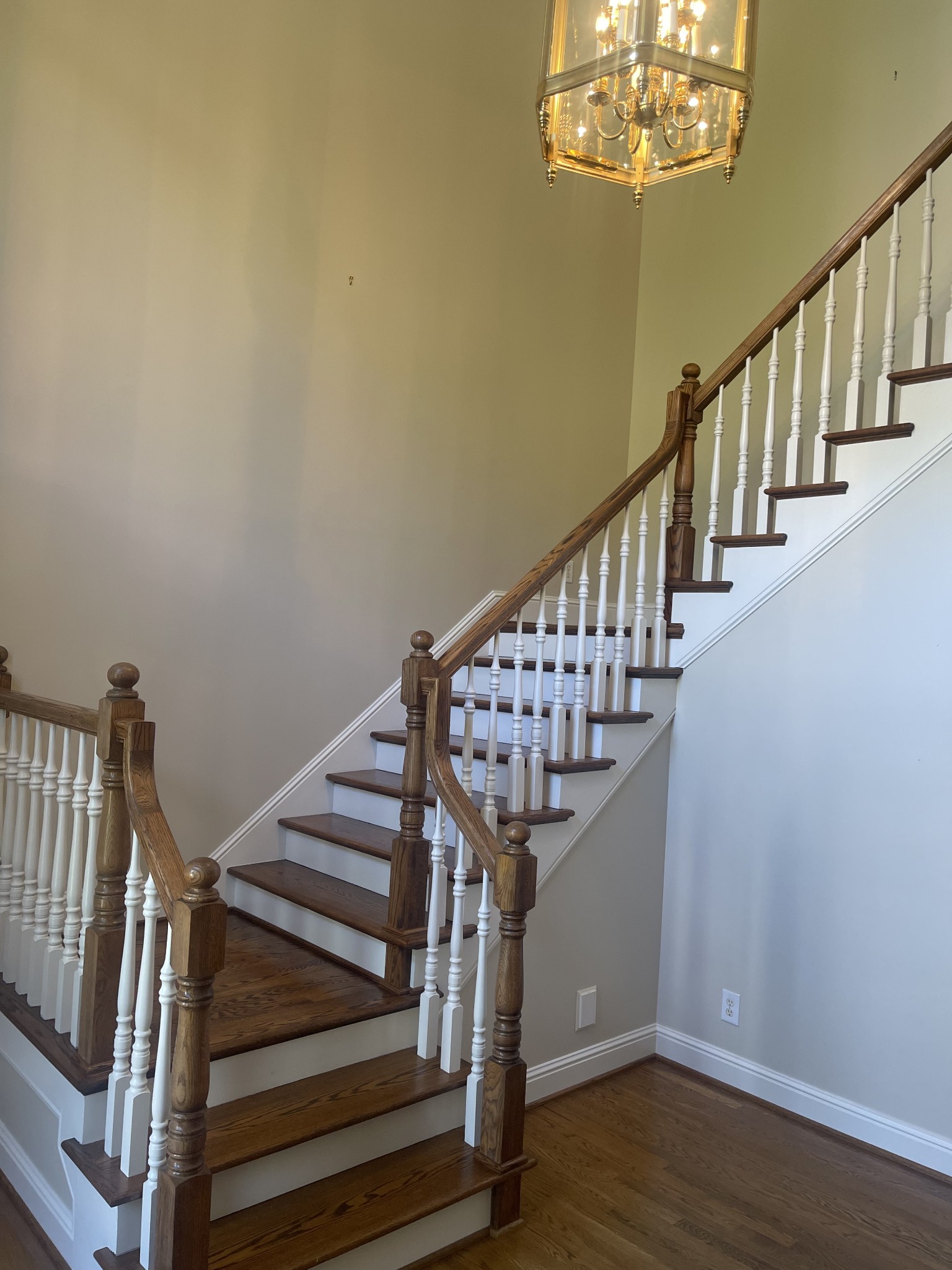 113 Abbeywood Dr