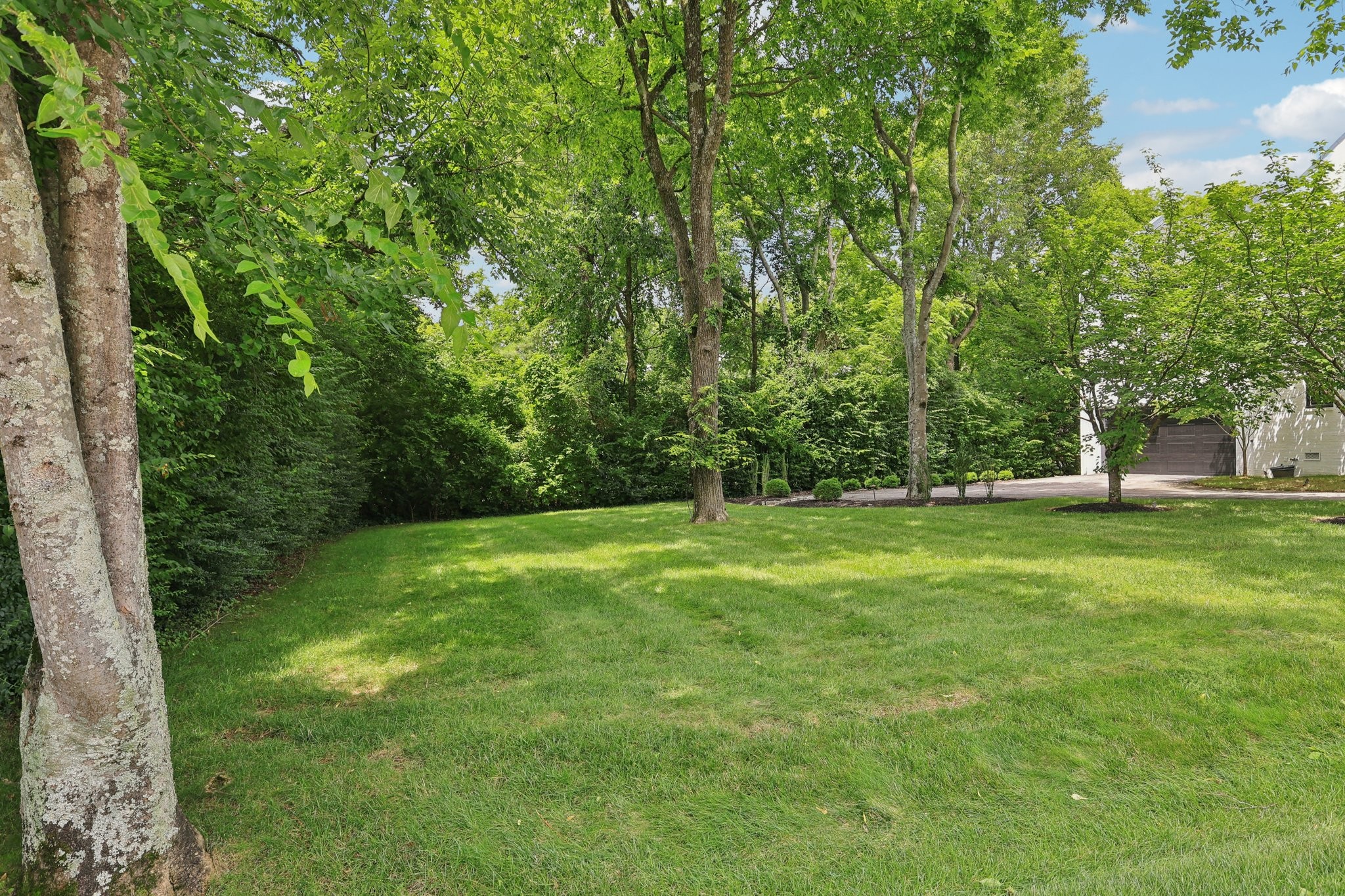 3600 Colewood Dr