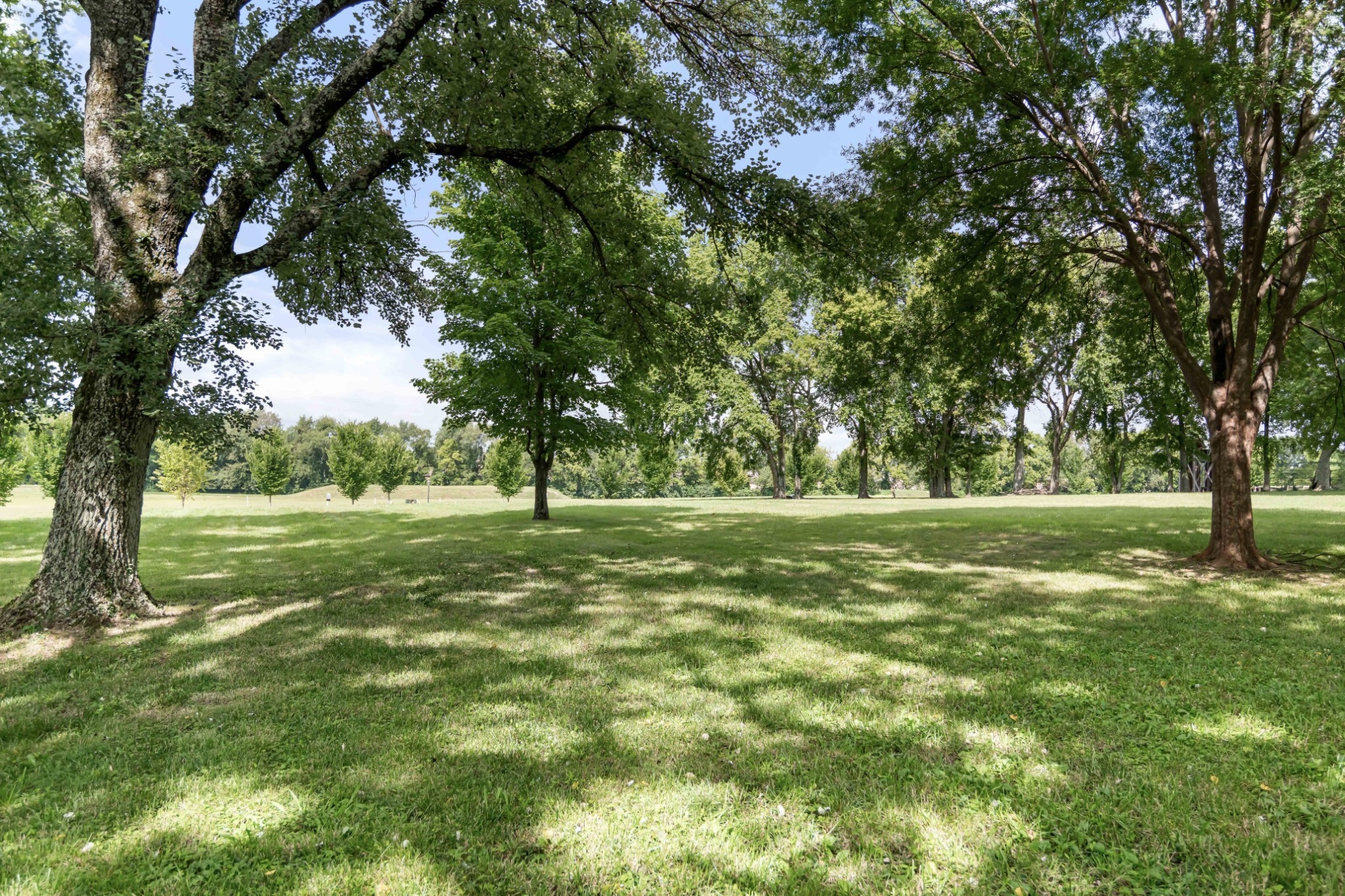 9226 Liza Ct