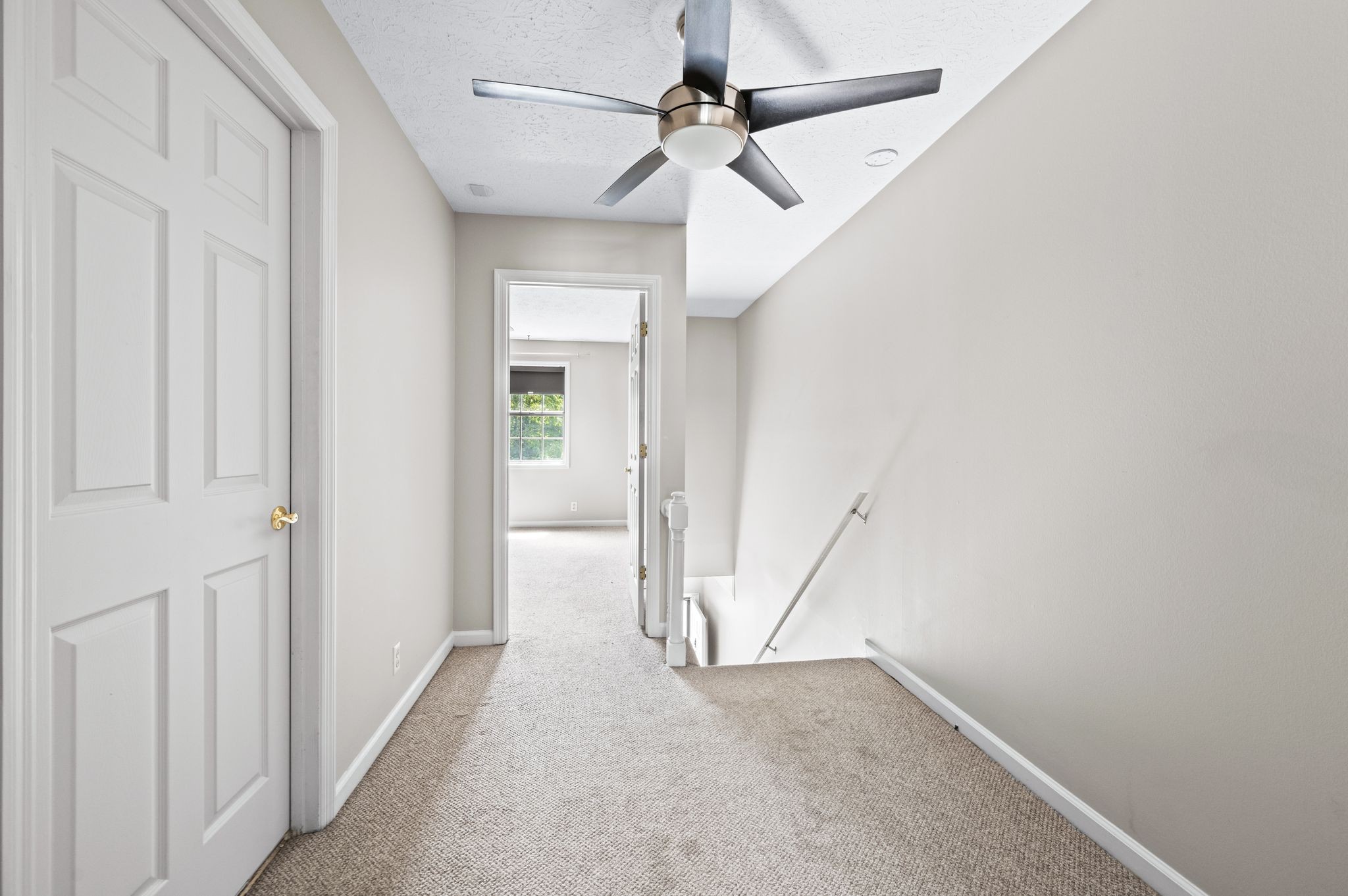 117 Westerly Dr