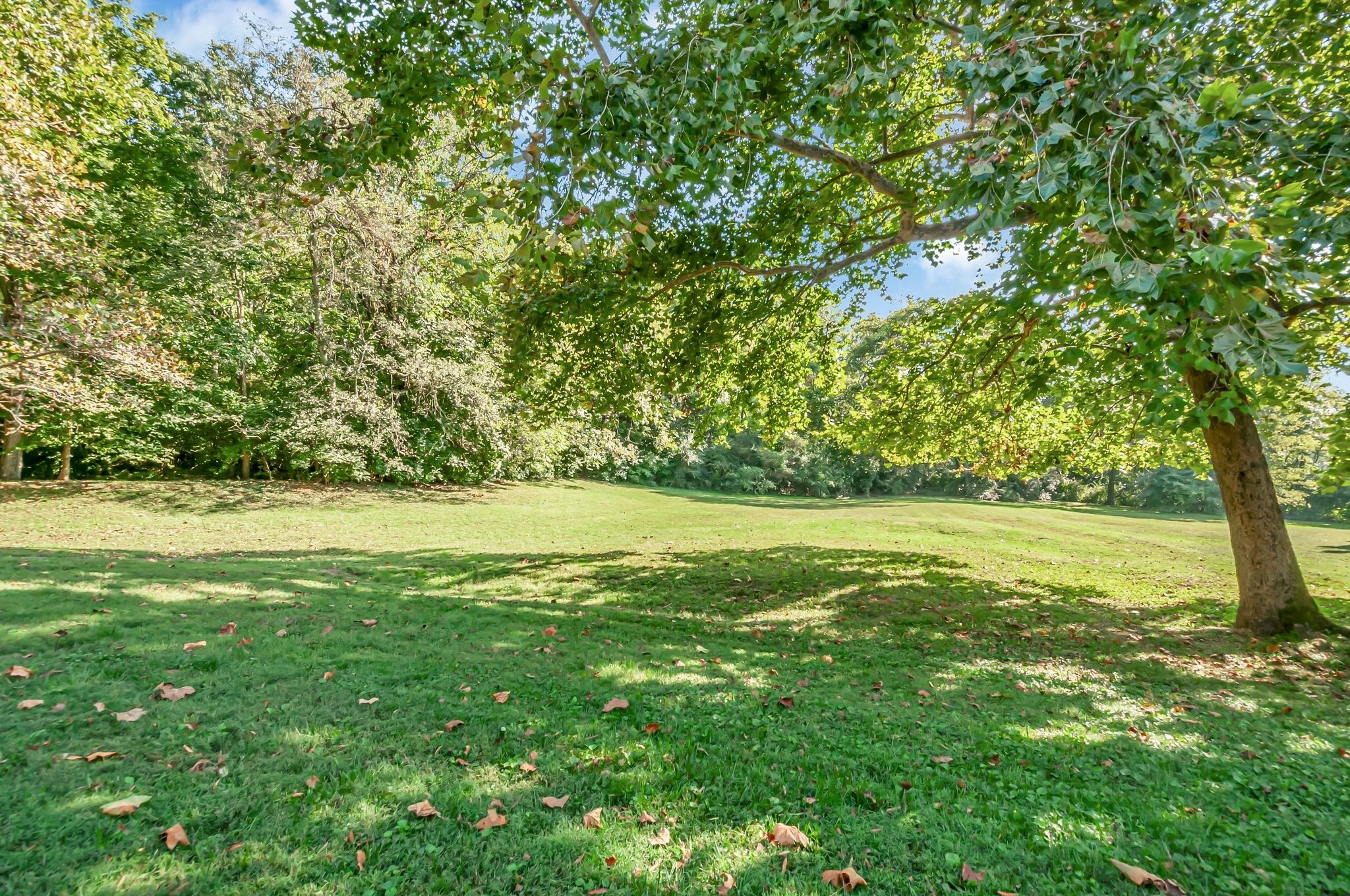 117 Westerly Dr