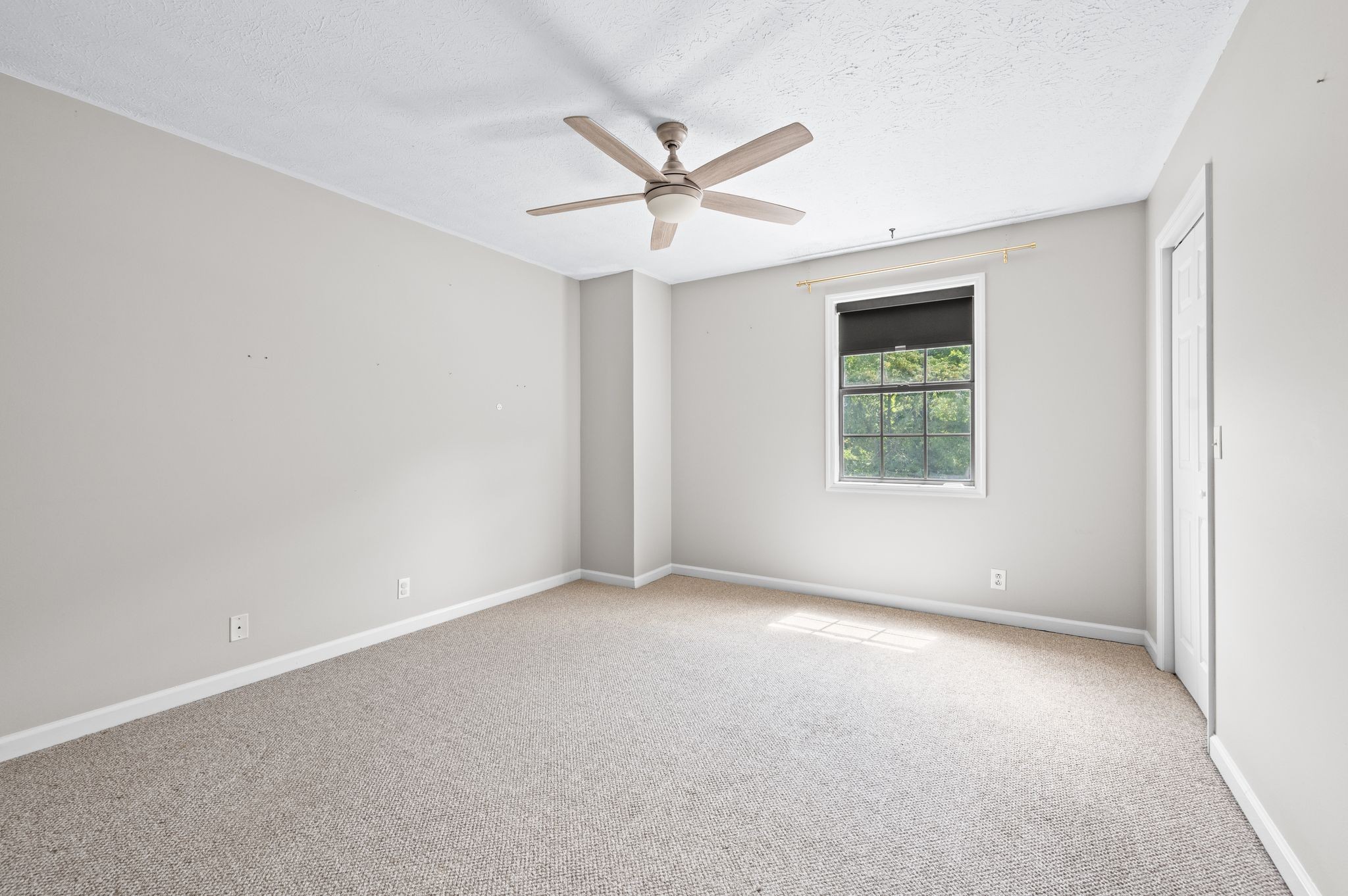117 Westerly Dr