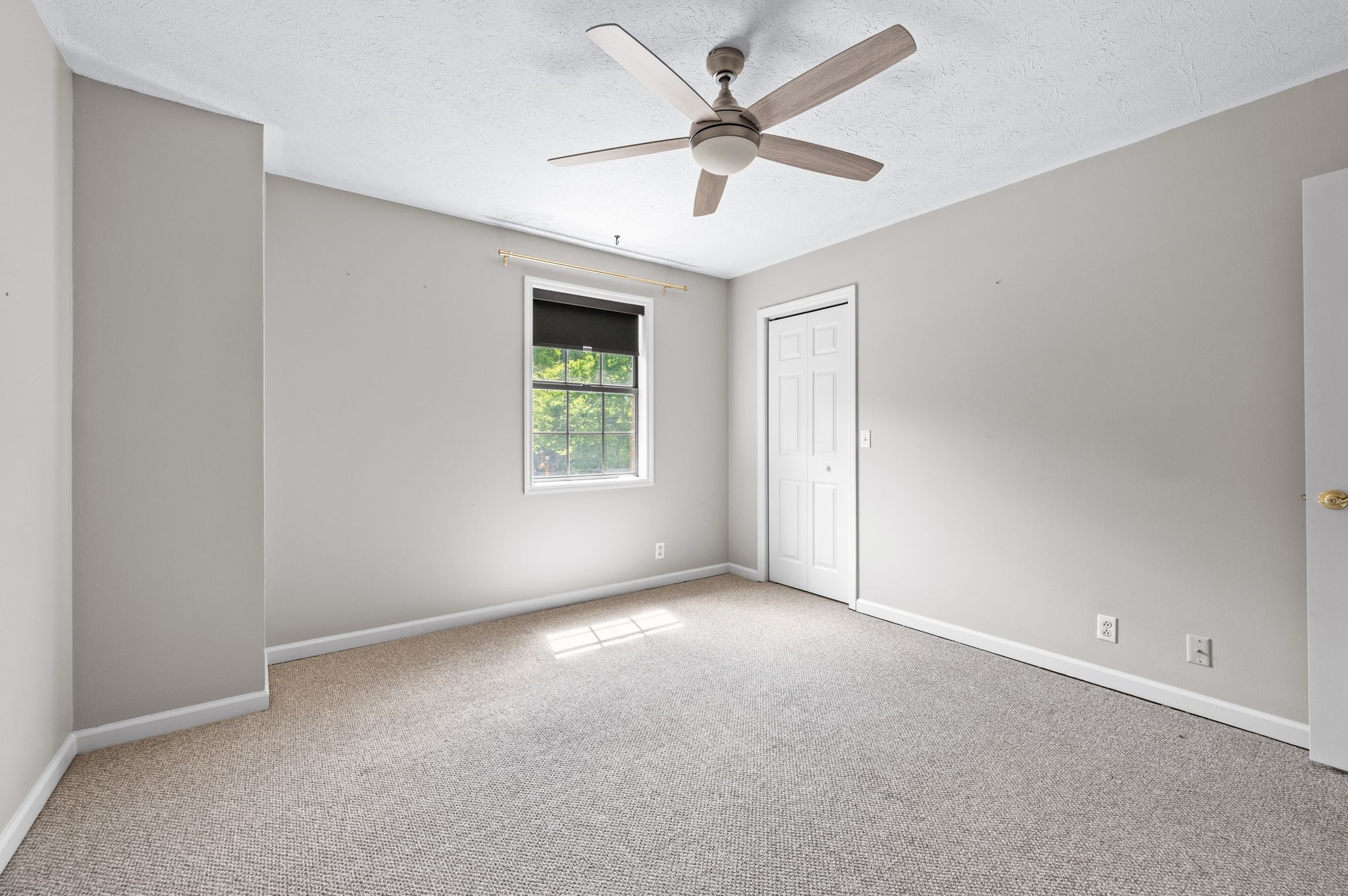 117 Westerly Dr