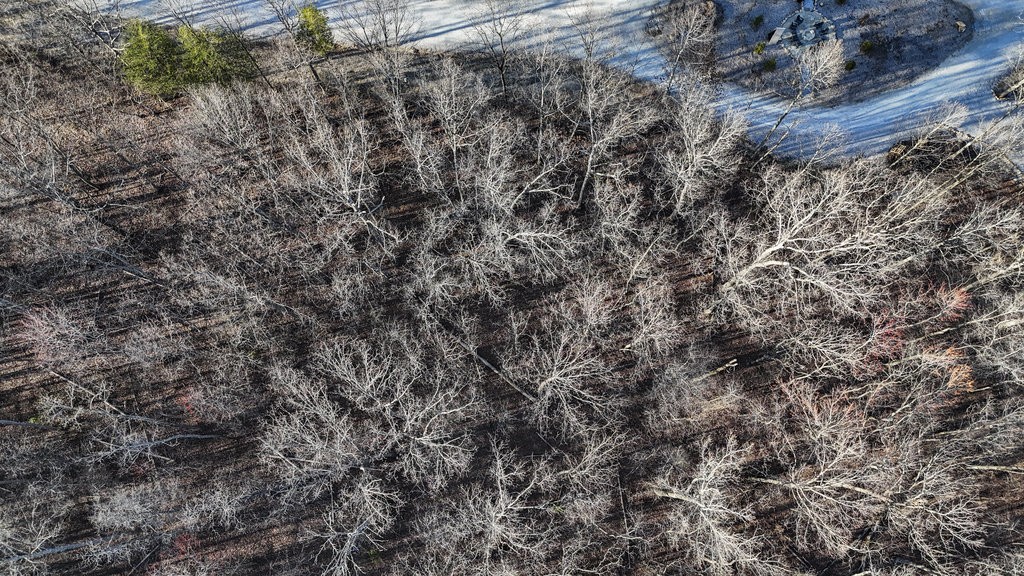 165 Sunset Bluff Way