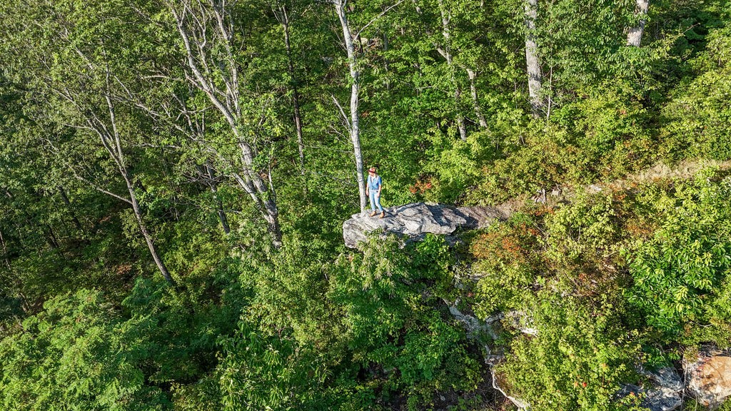 354 Little Trees Ramble