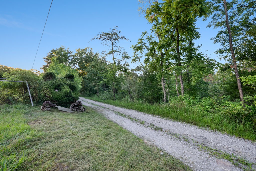 354 Little Trees Ramble