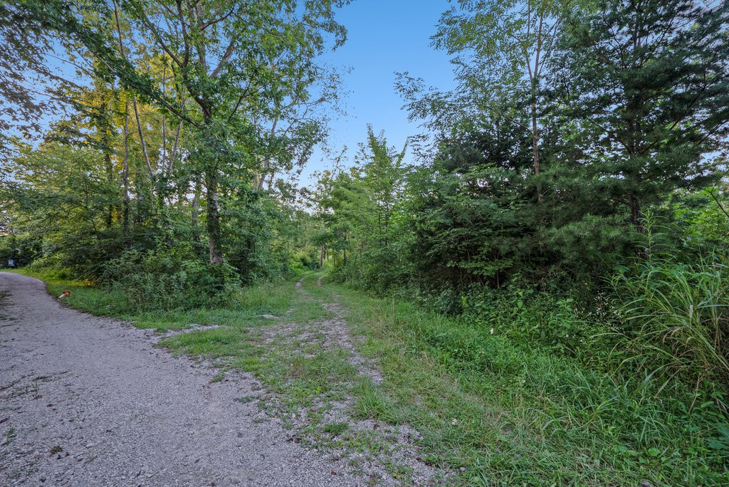 354 Little Trees Ramble