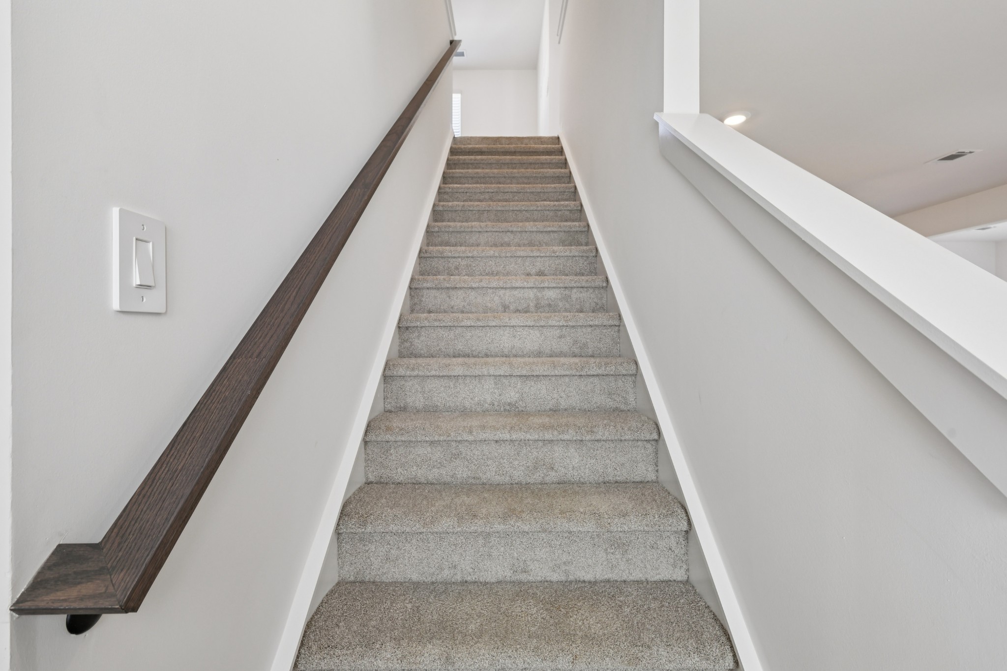 1529 Bear Branch Trce