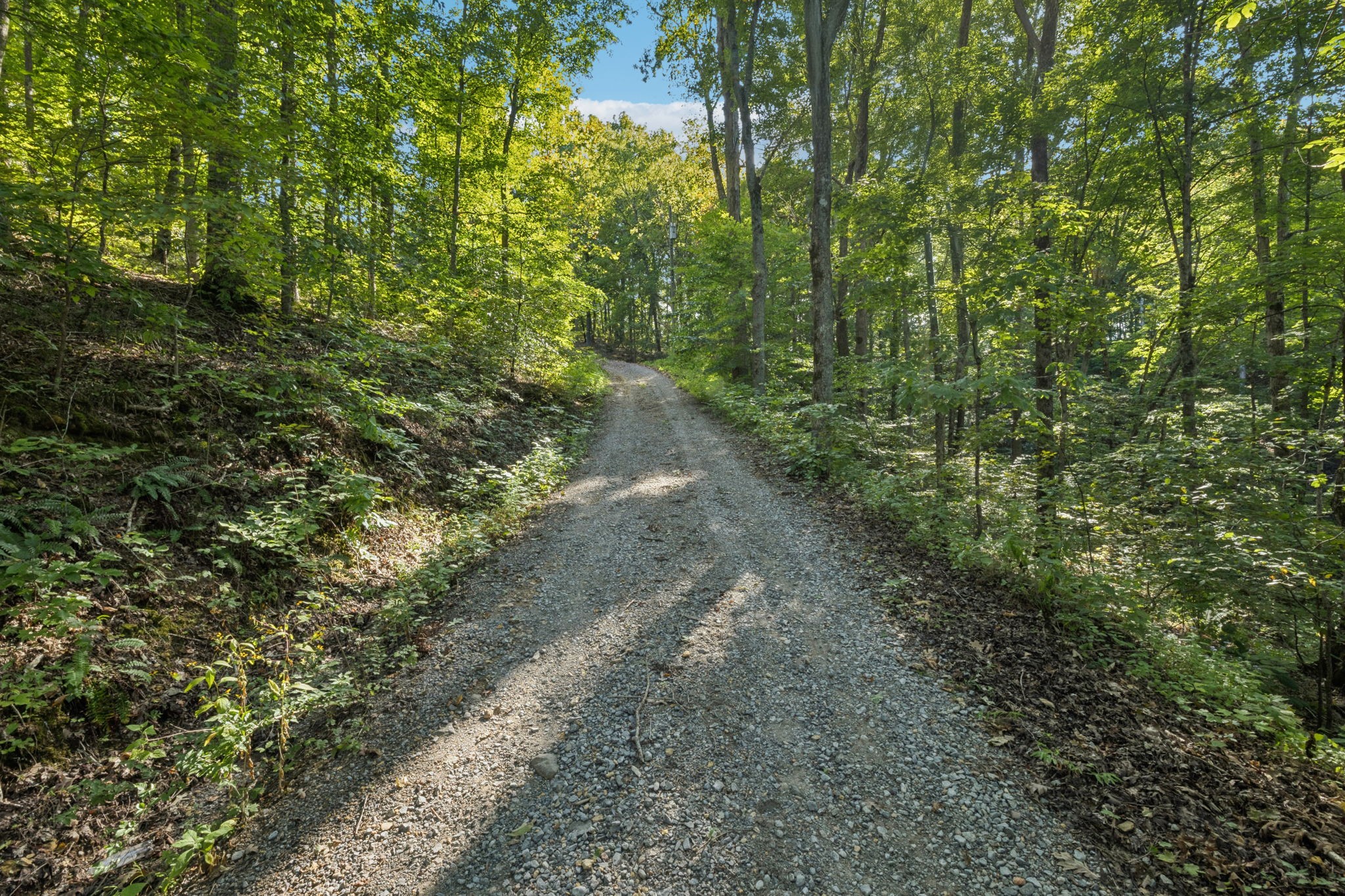 1346 Pond Creek Rd