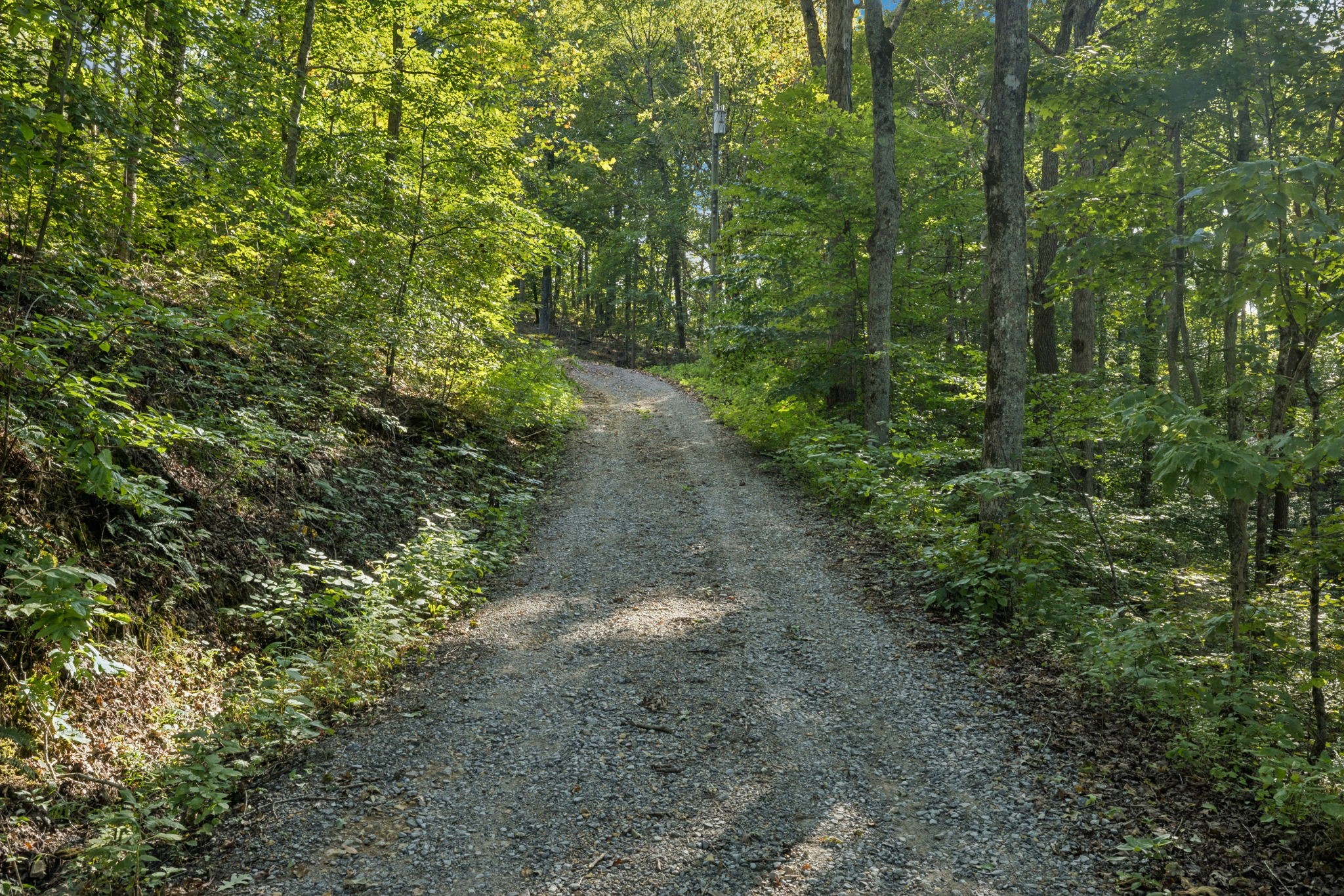 1346 Pond Creek Rd