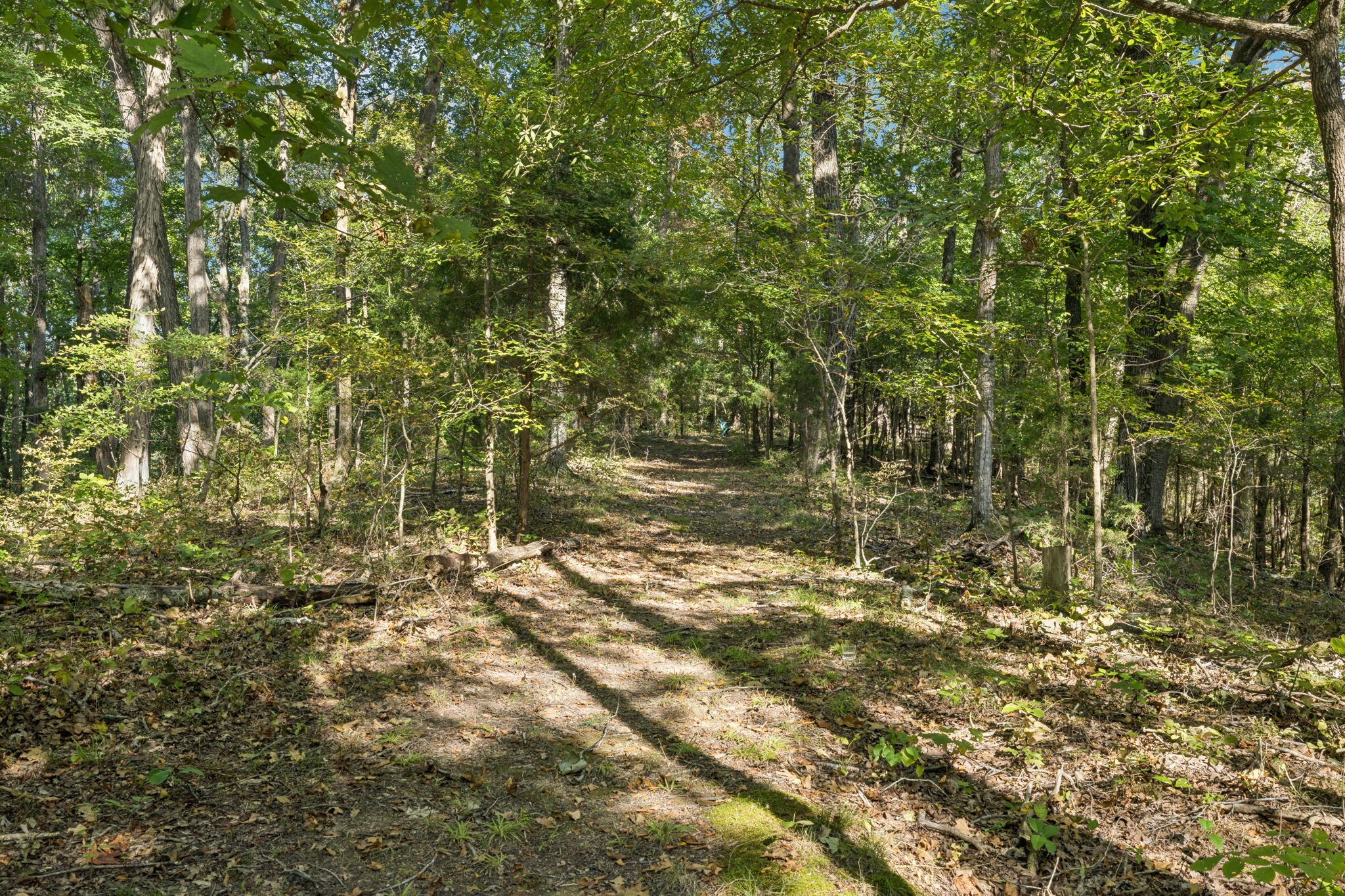 1346 Pond Creek Rd