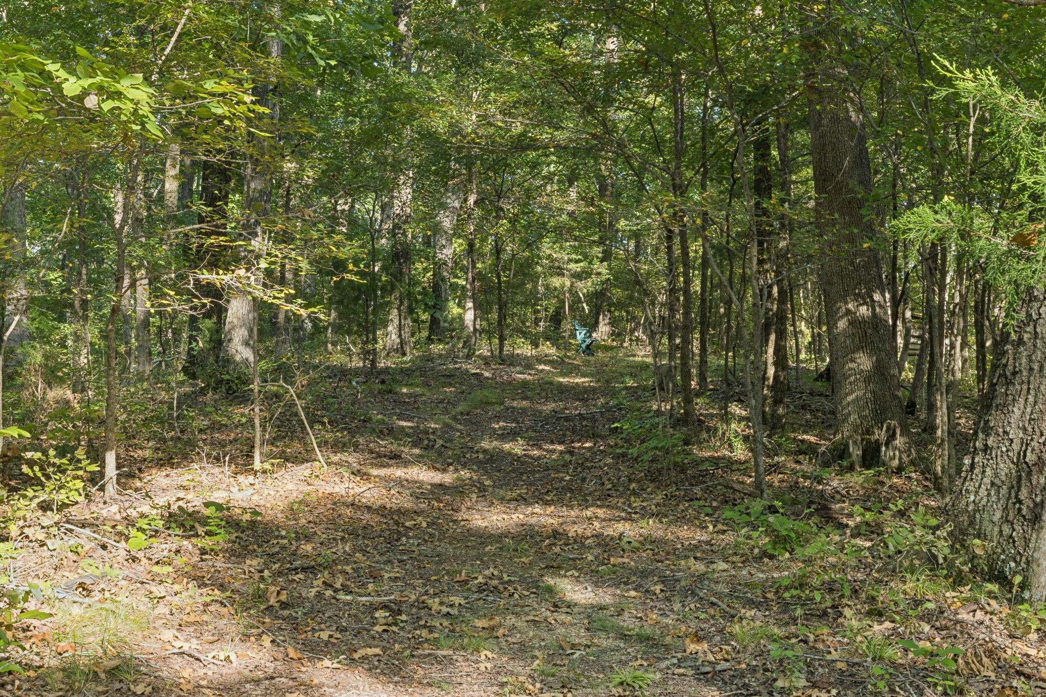 1346 Pond Creek Rd