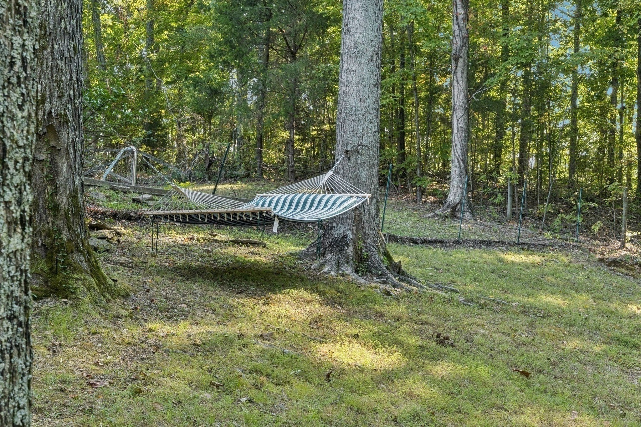 1346 Pond Creek Rd