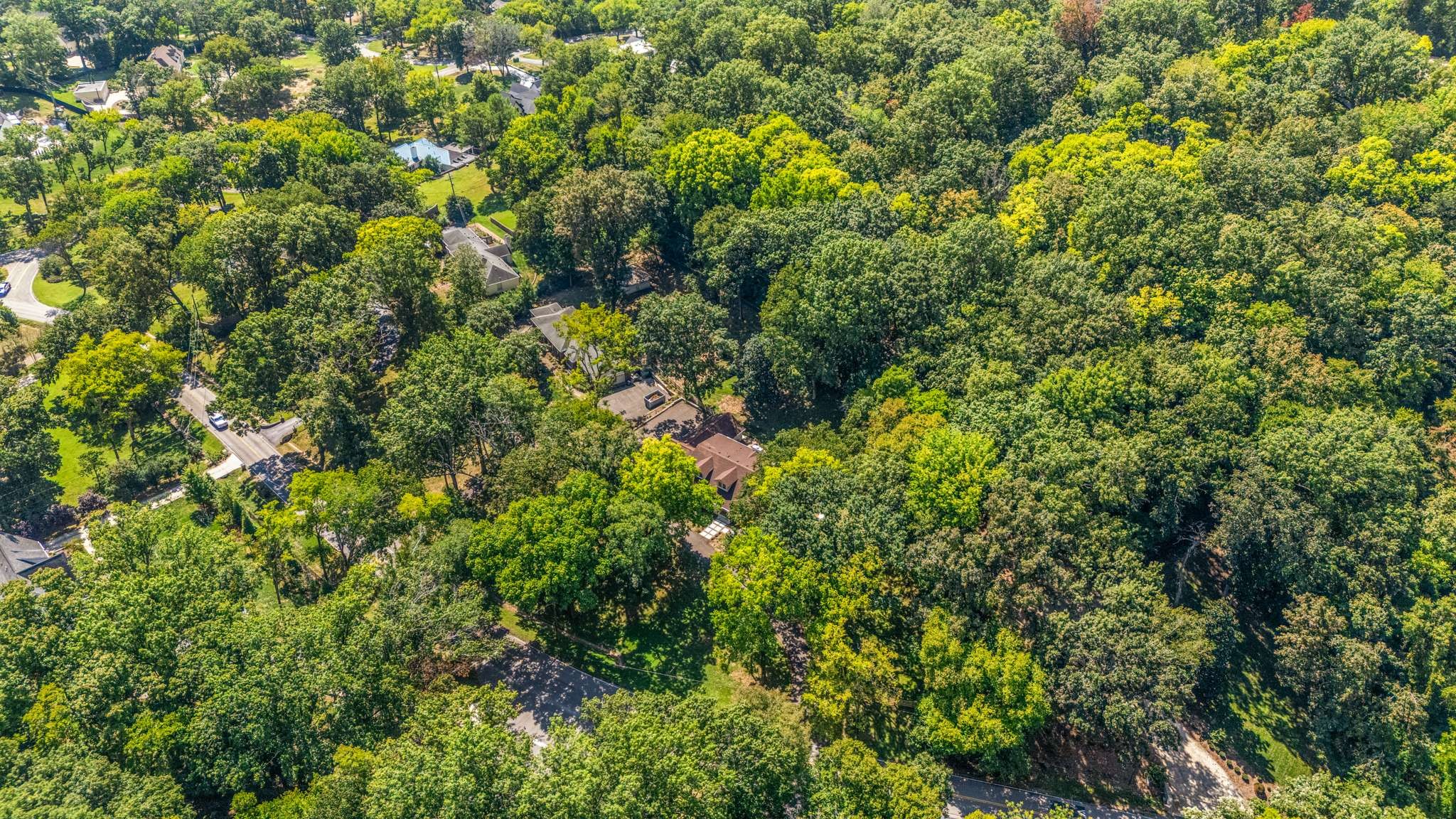 509 Hillwood Blvd