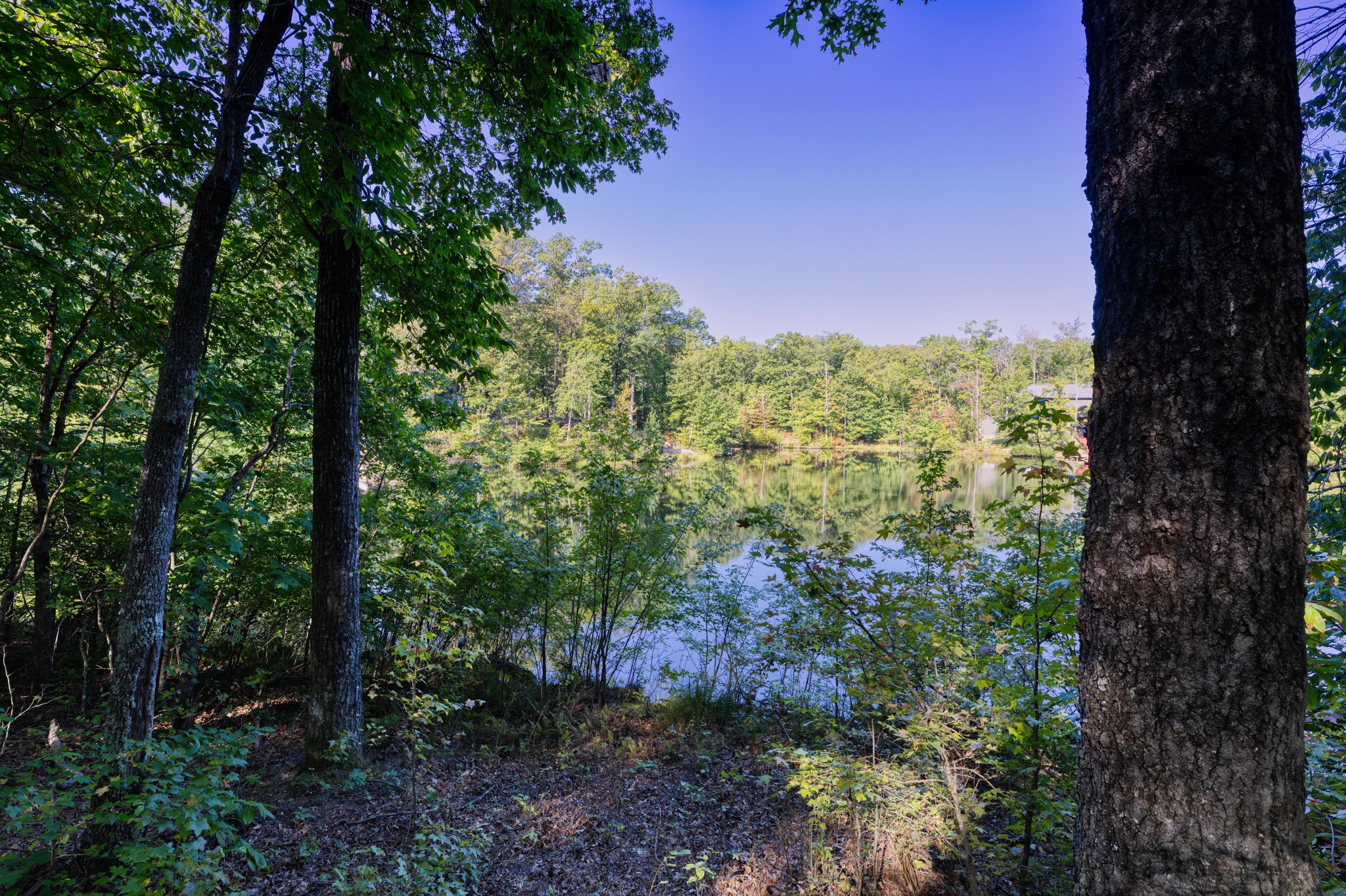 0 Trussell Creek Trail