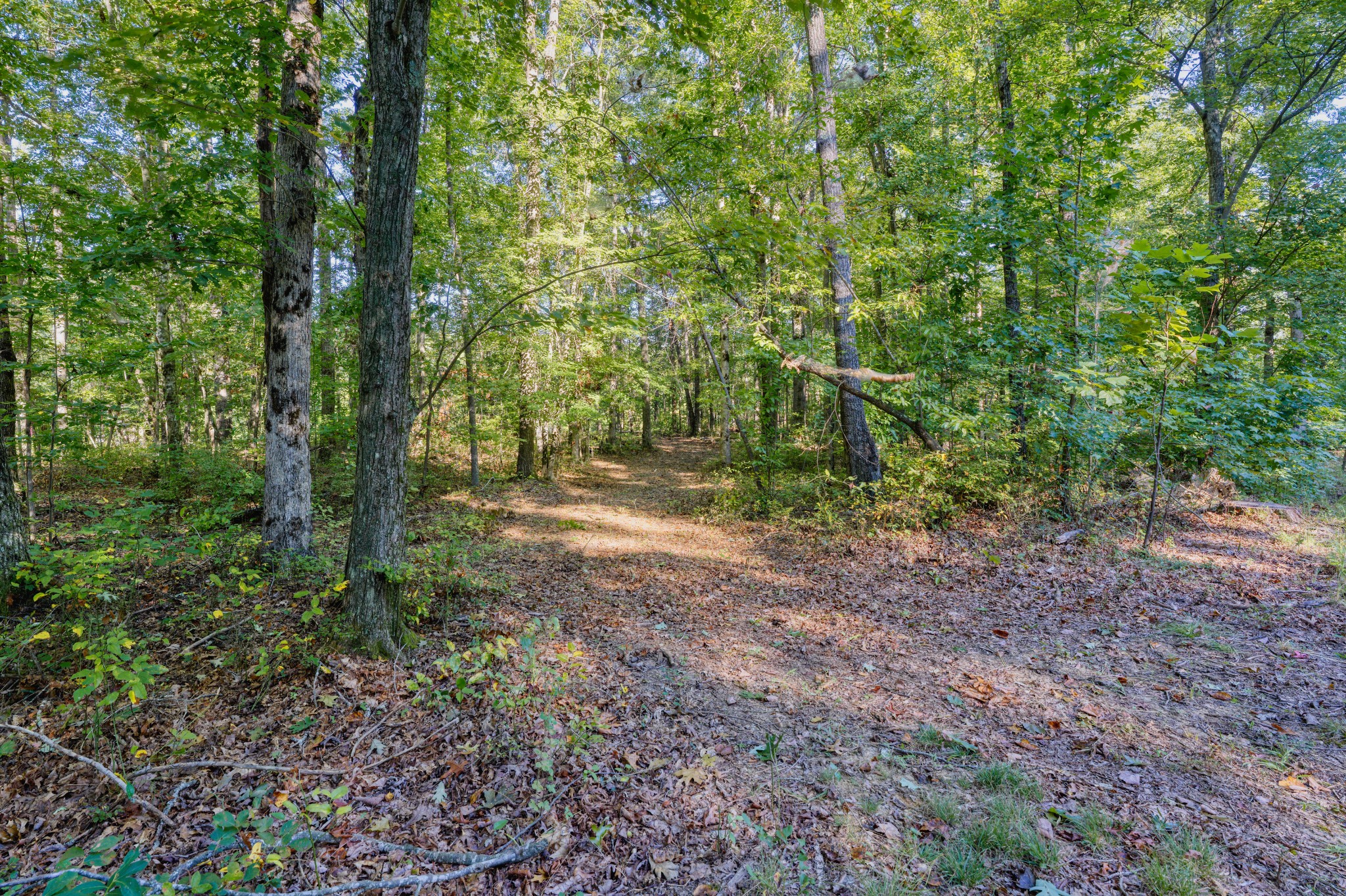 0 Trussell Creek Trail