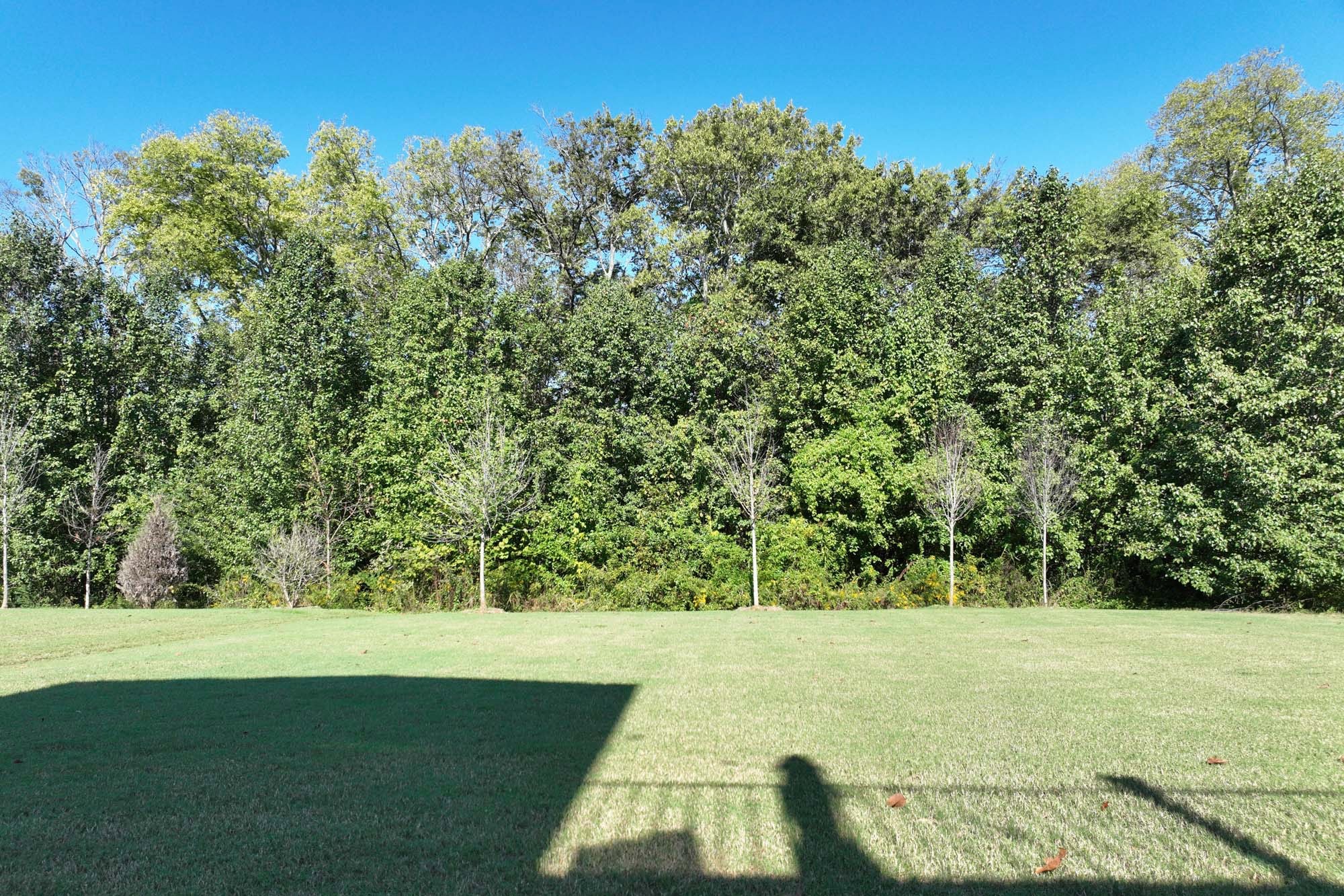 1038 Amelia Park Dr