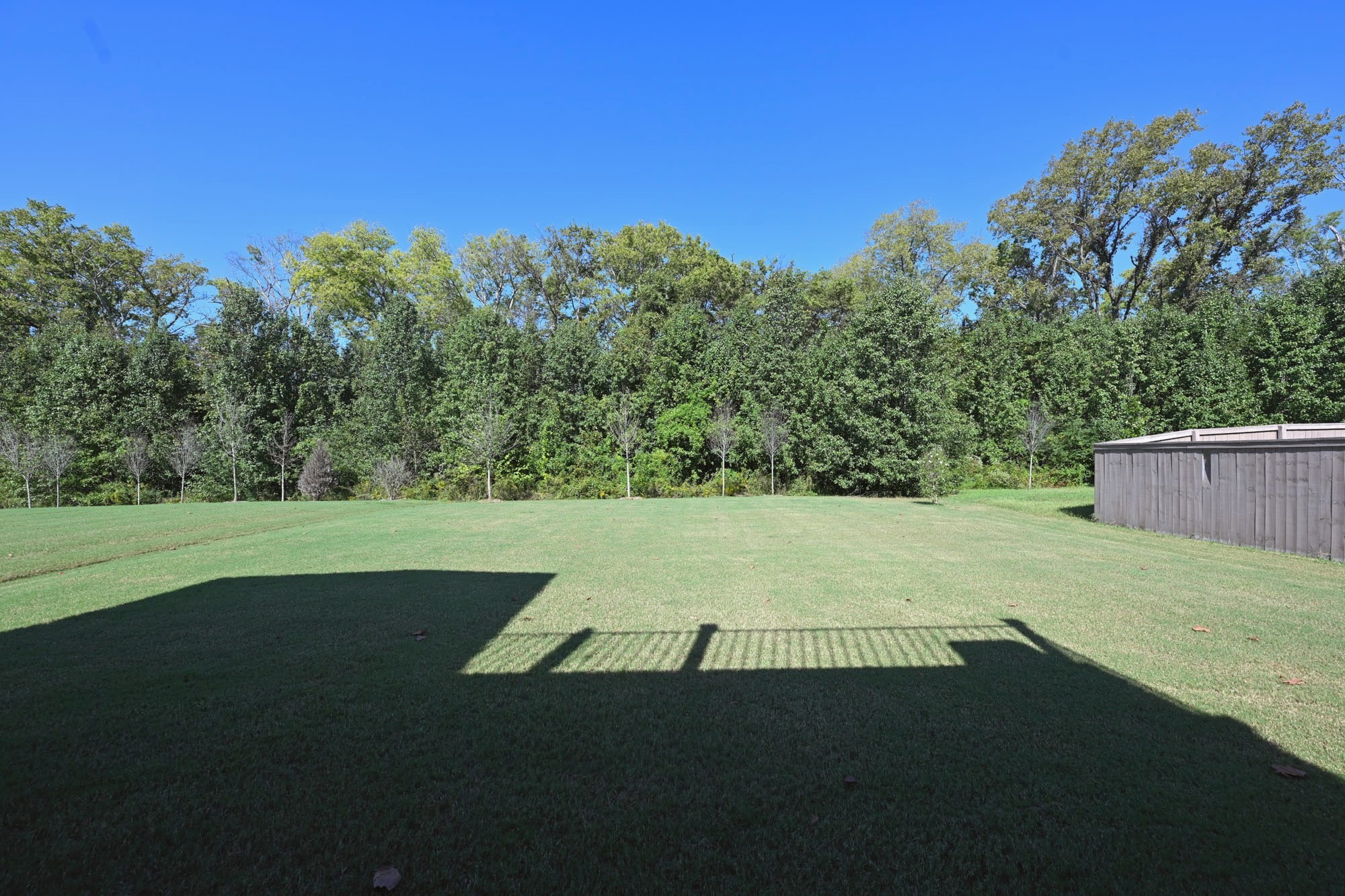 1038 Amelia Park Dr
