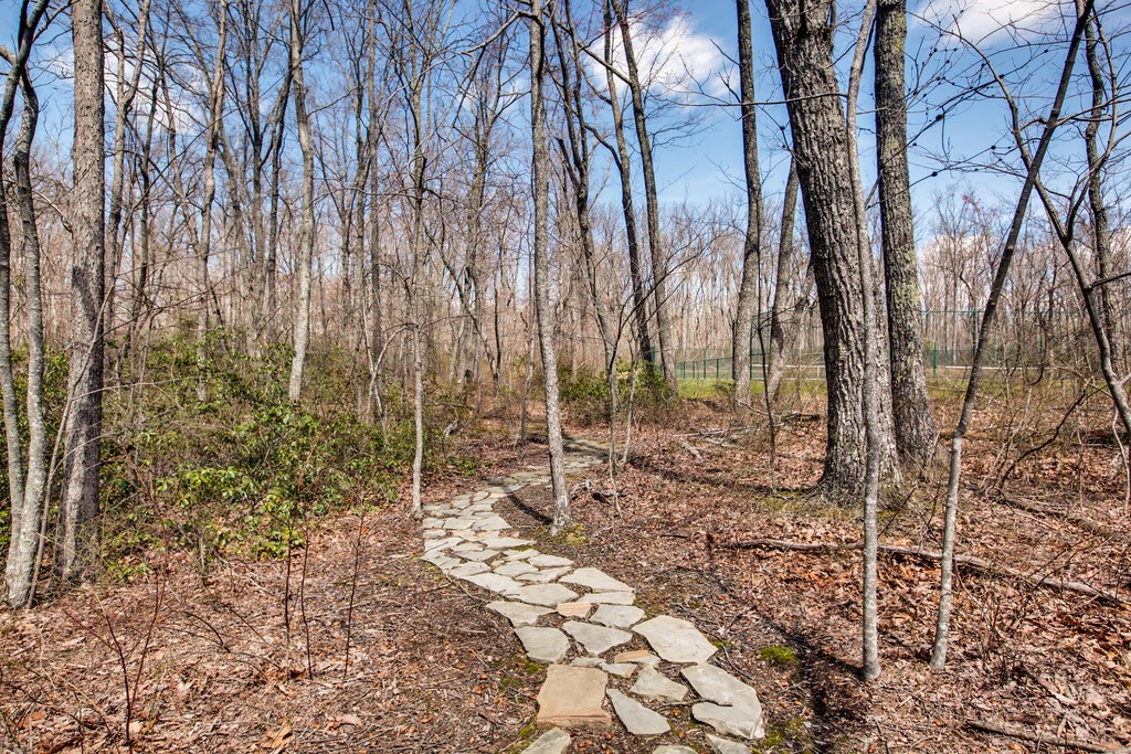 101 Chestnut Hollow Trail