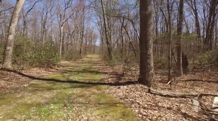 101 Chestnut Hollow Trail