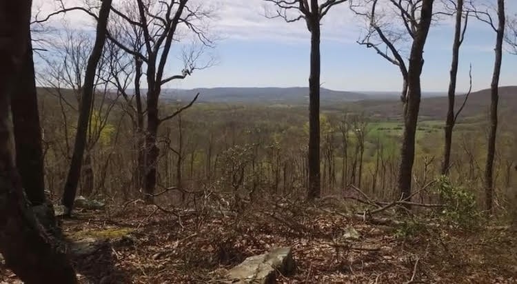 101 Chestnut Hollow Trail
