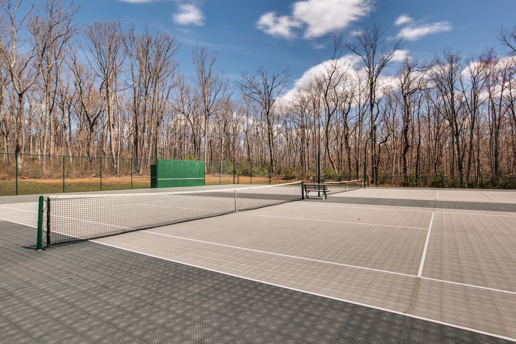 101 Chestnut Hollow Trail
