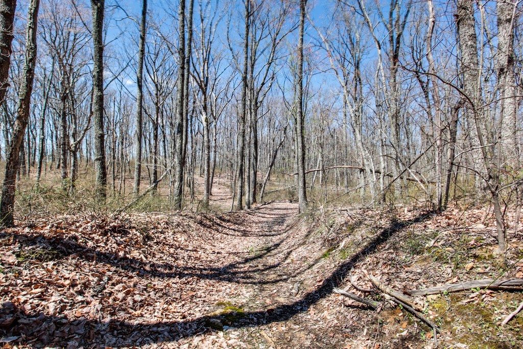 1071 Long Mountain Trail