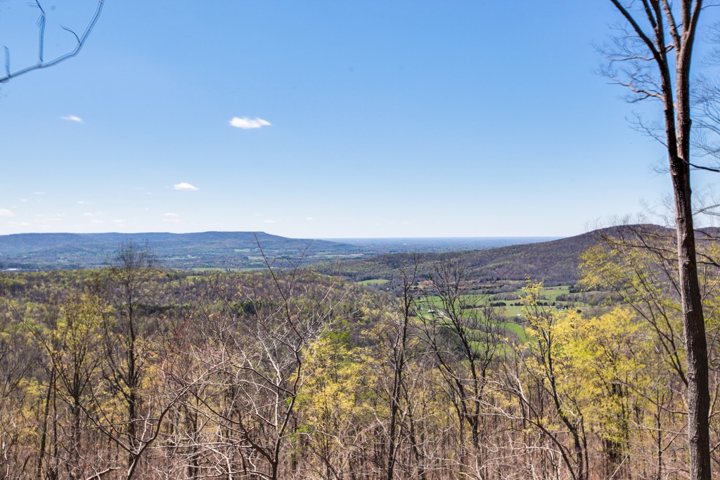 1071 Long Mountain Trail