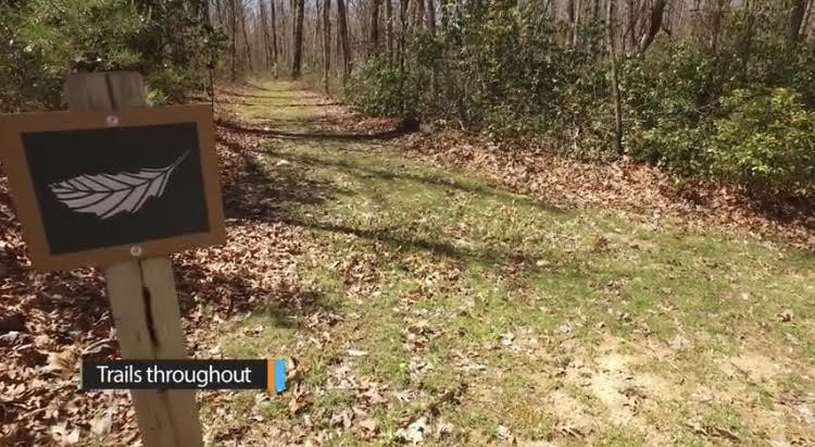 1071 Long Mountain Trail