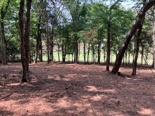 3076 Carters Creek Pk