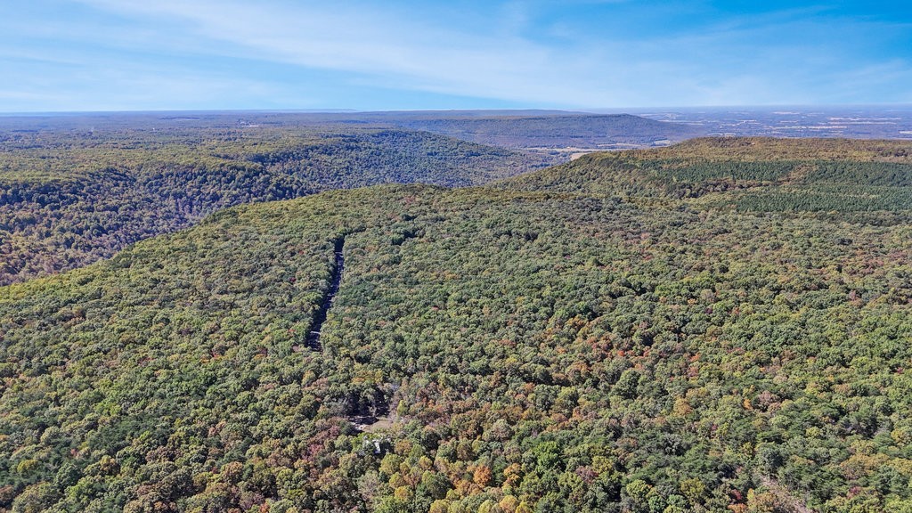 2266 Timberwood Trce