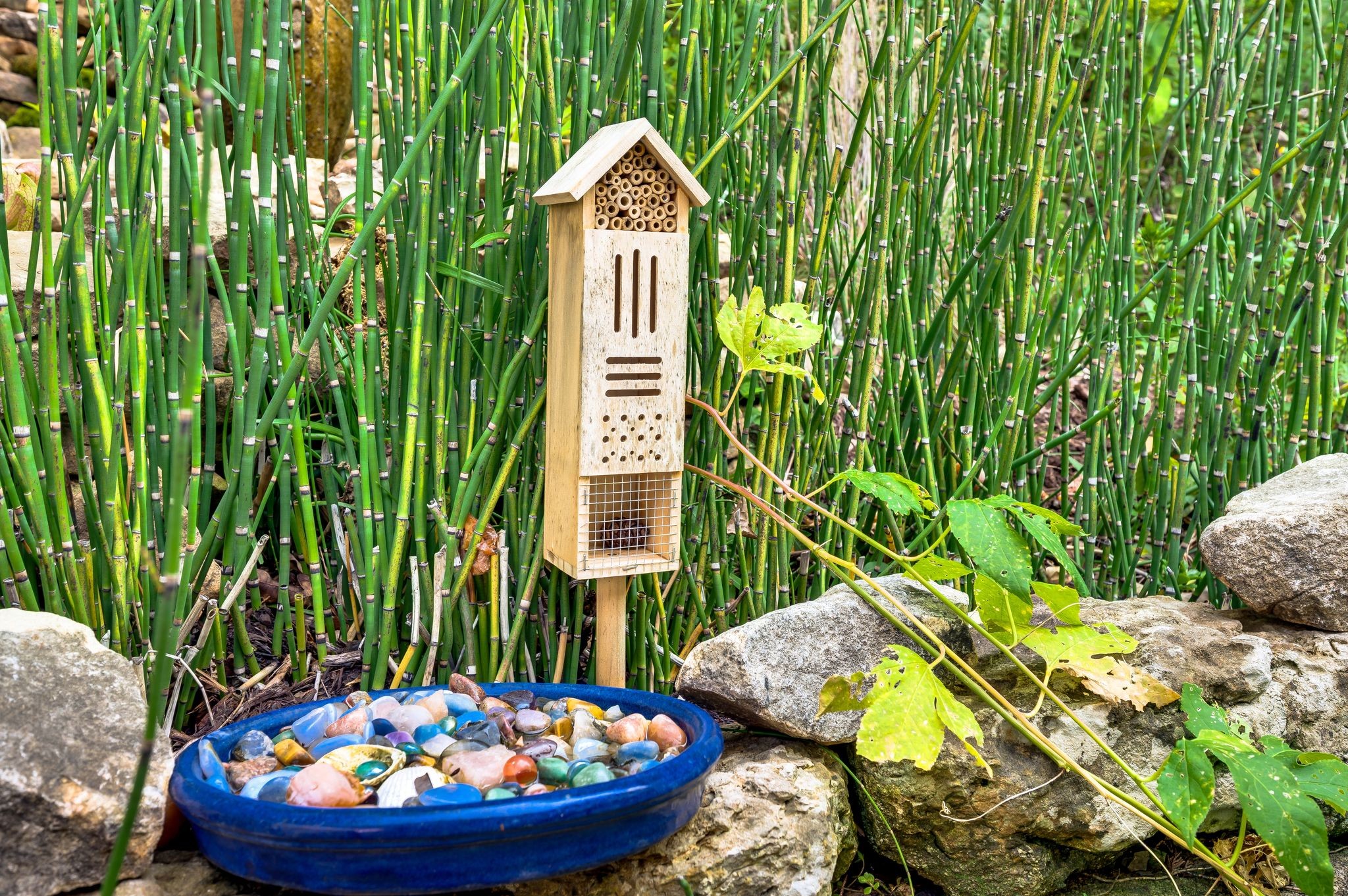 7048 Still Spring Hollow Dr