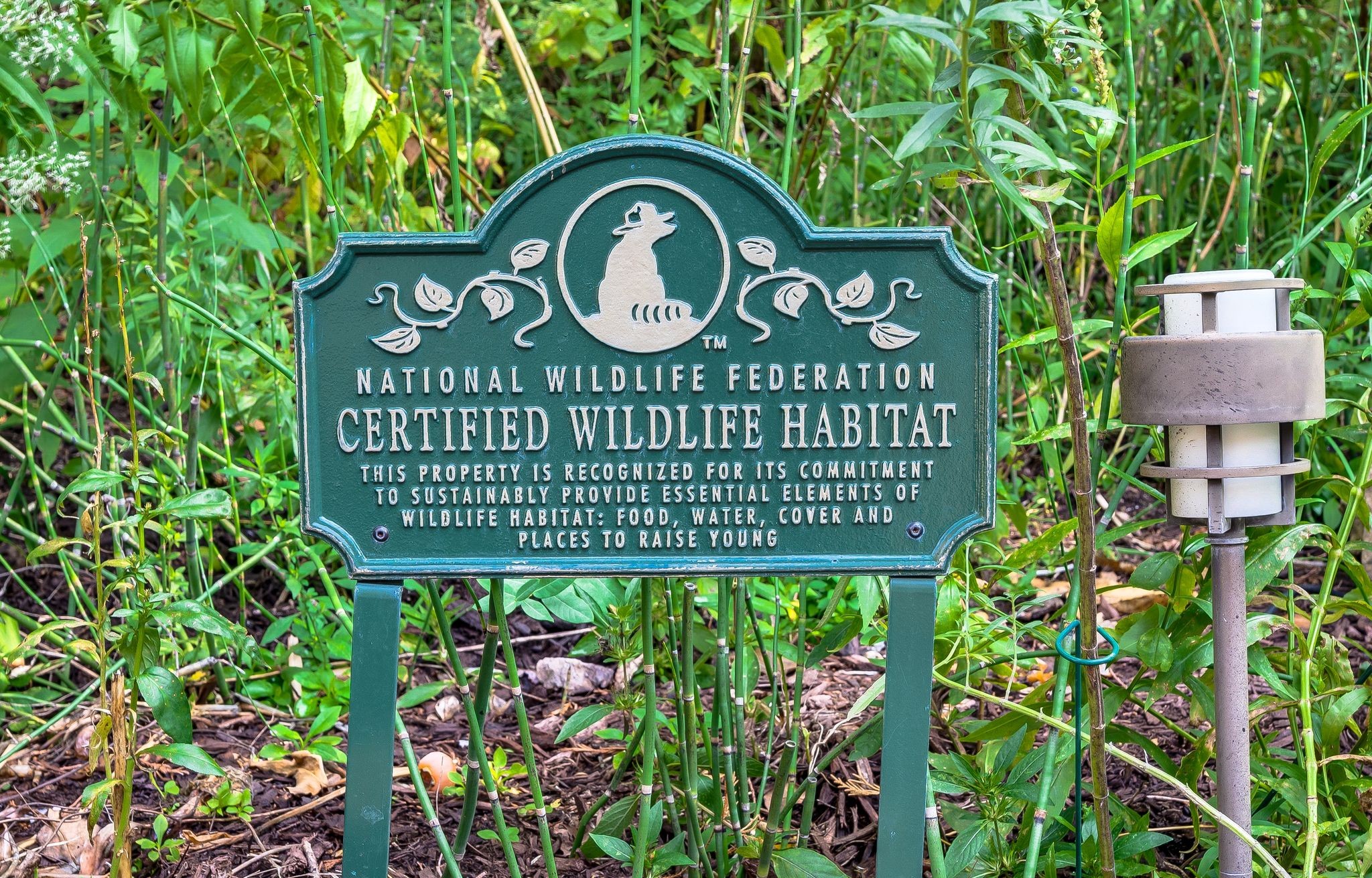 7048 Still Spring Hollow Dr