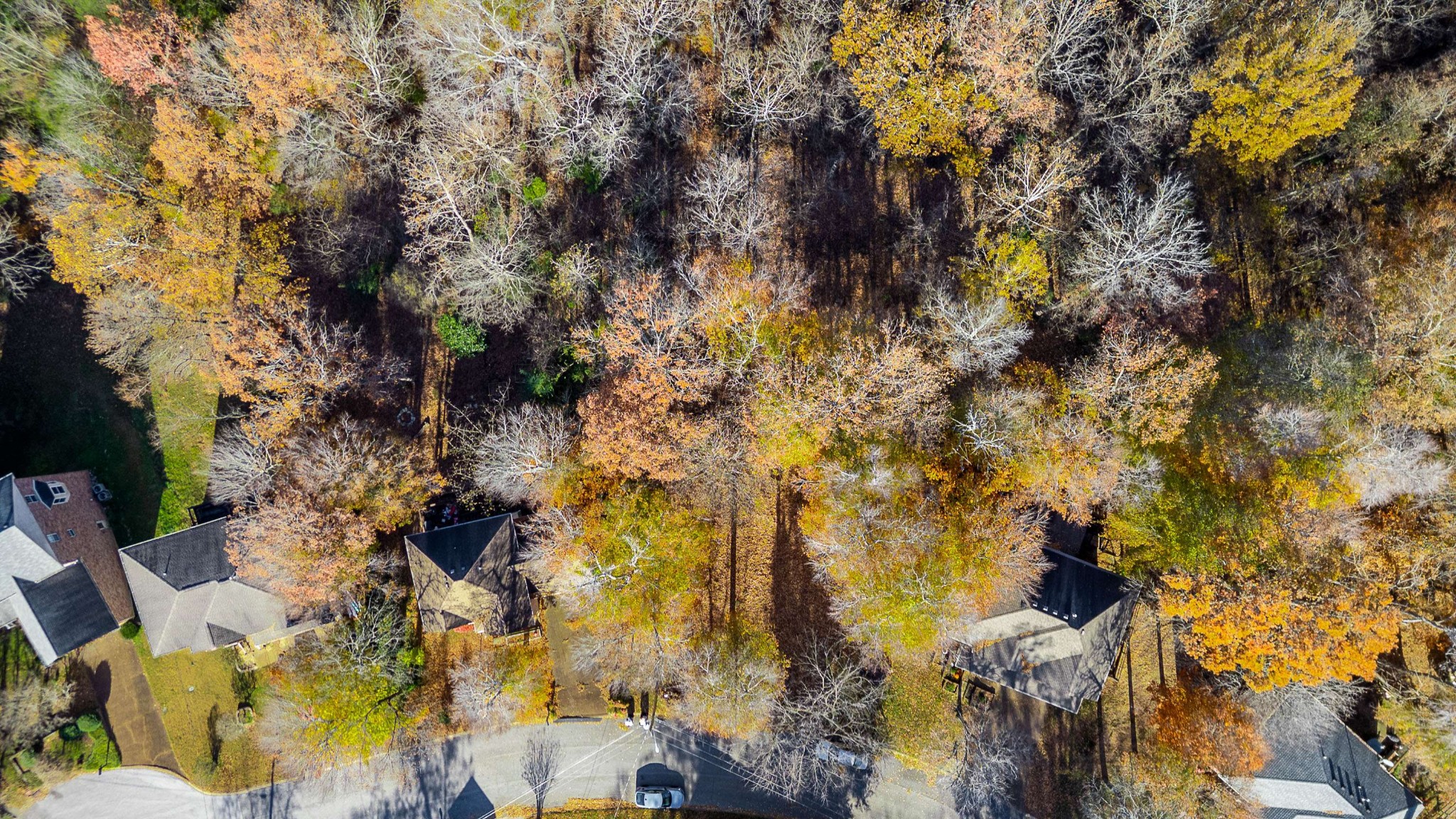 165 Overlook Ct