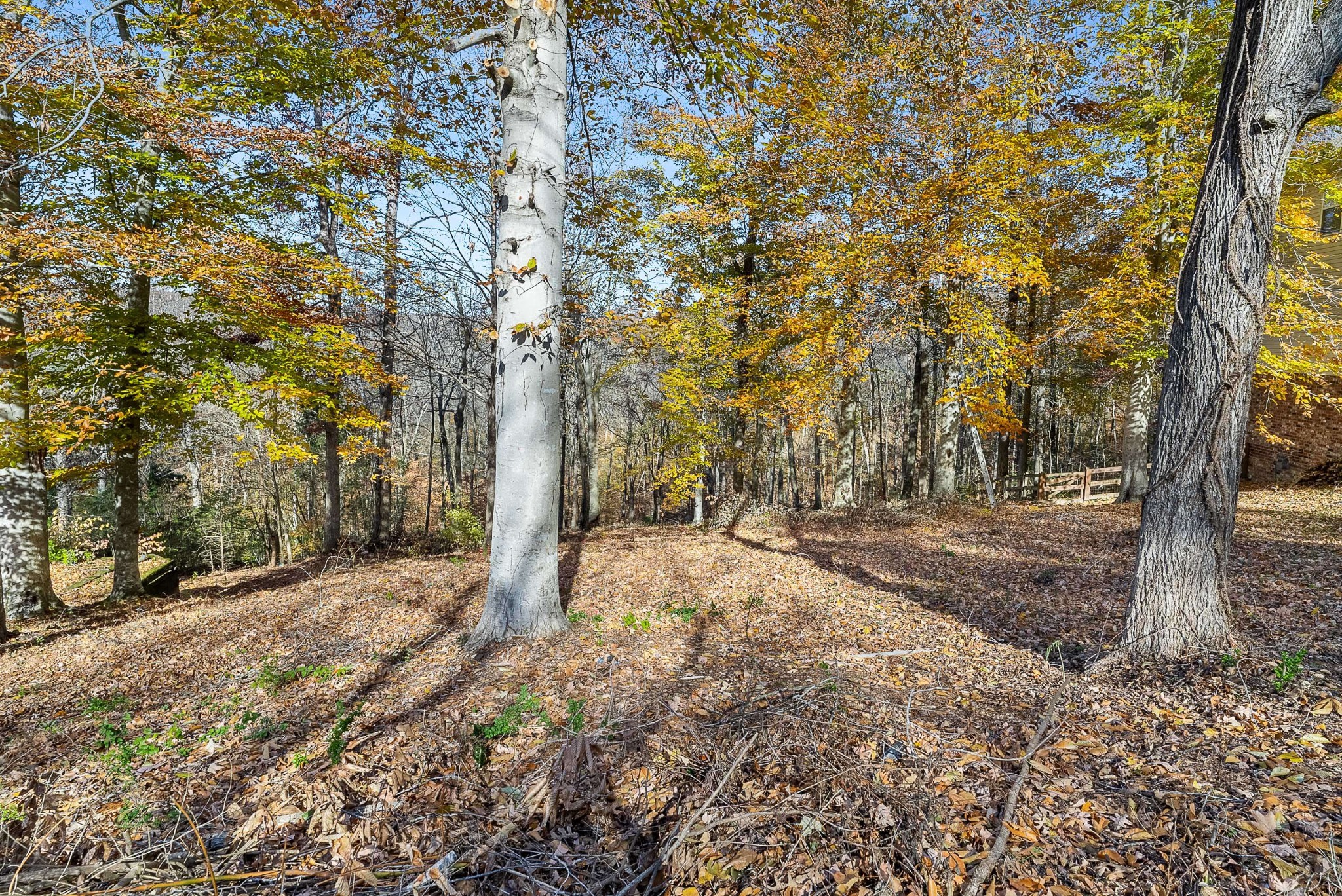 165 Overlook Ct