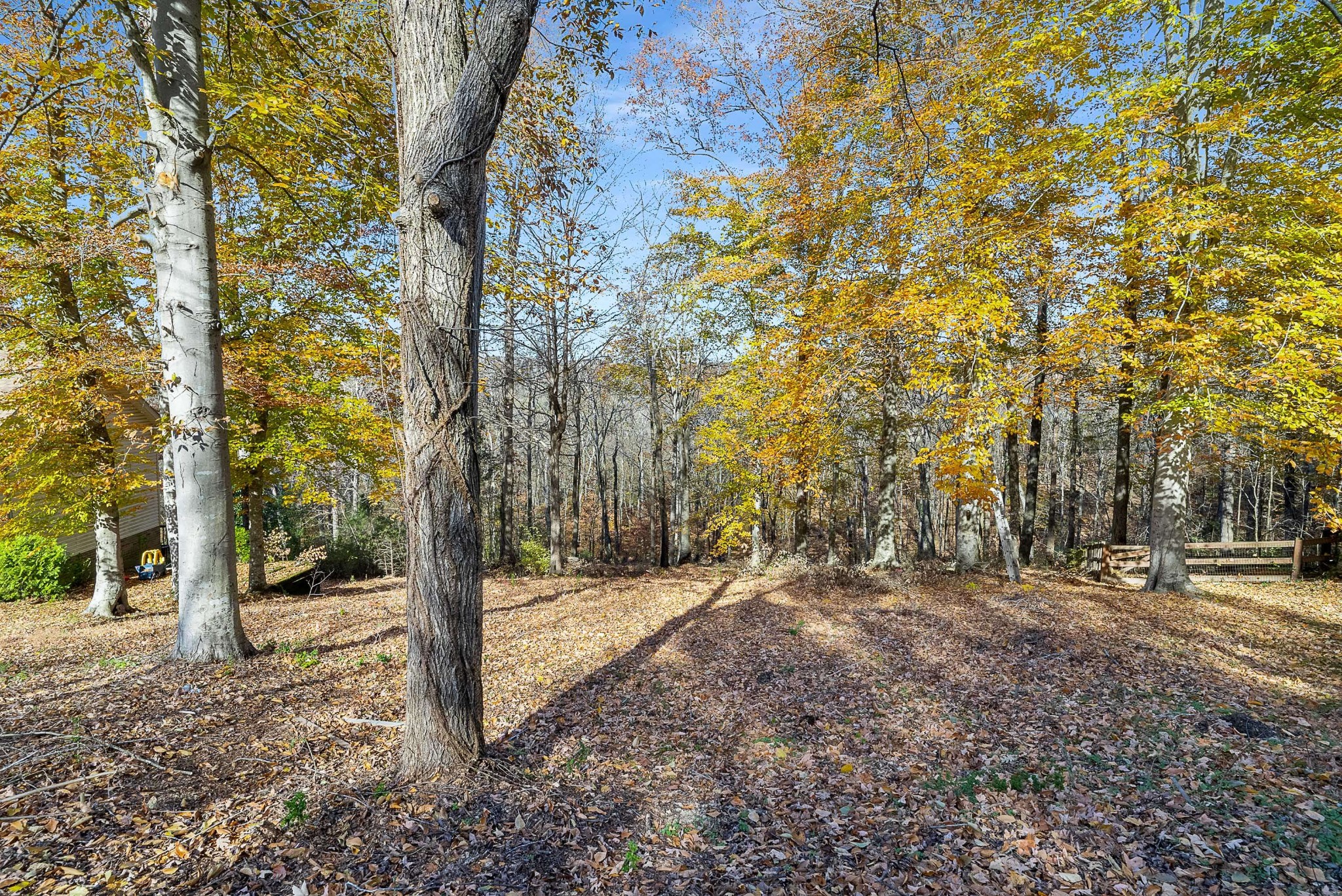 165 Overlook Ct