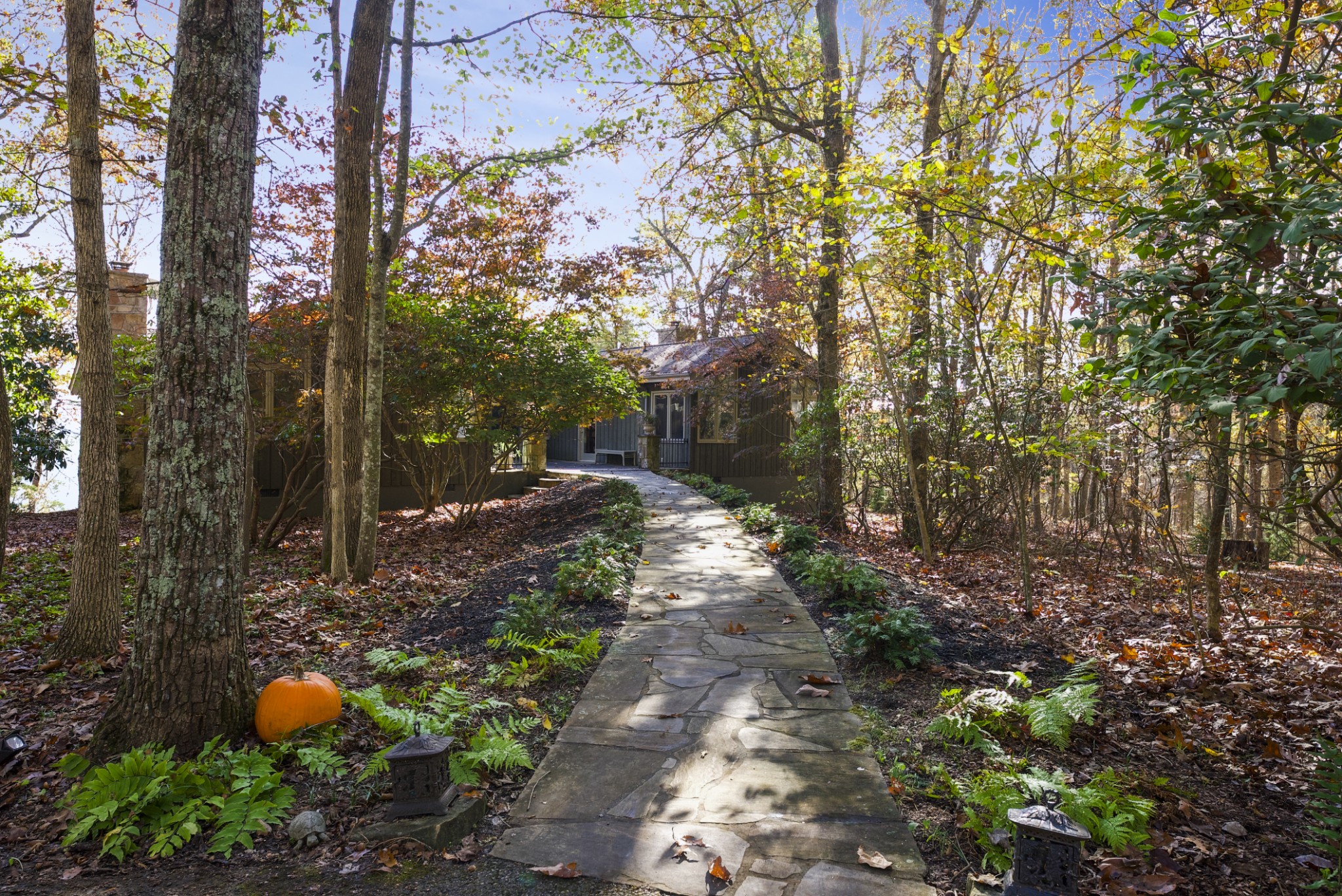 524 Sweetberry Dr