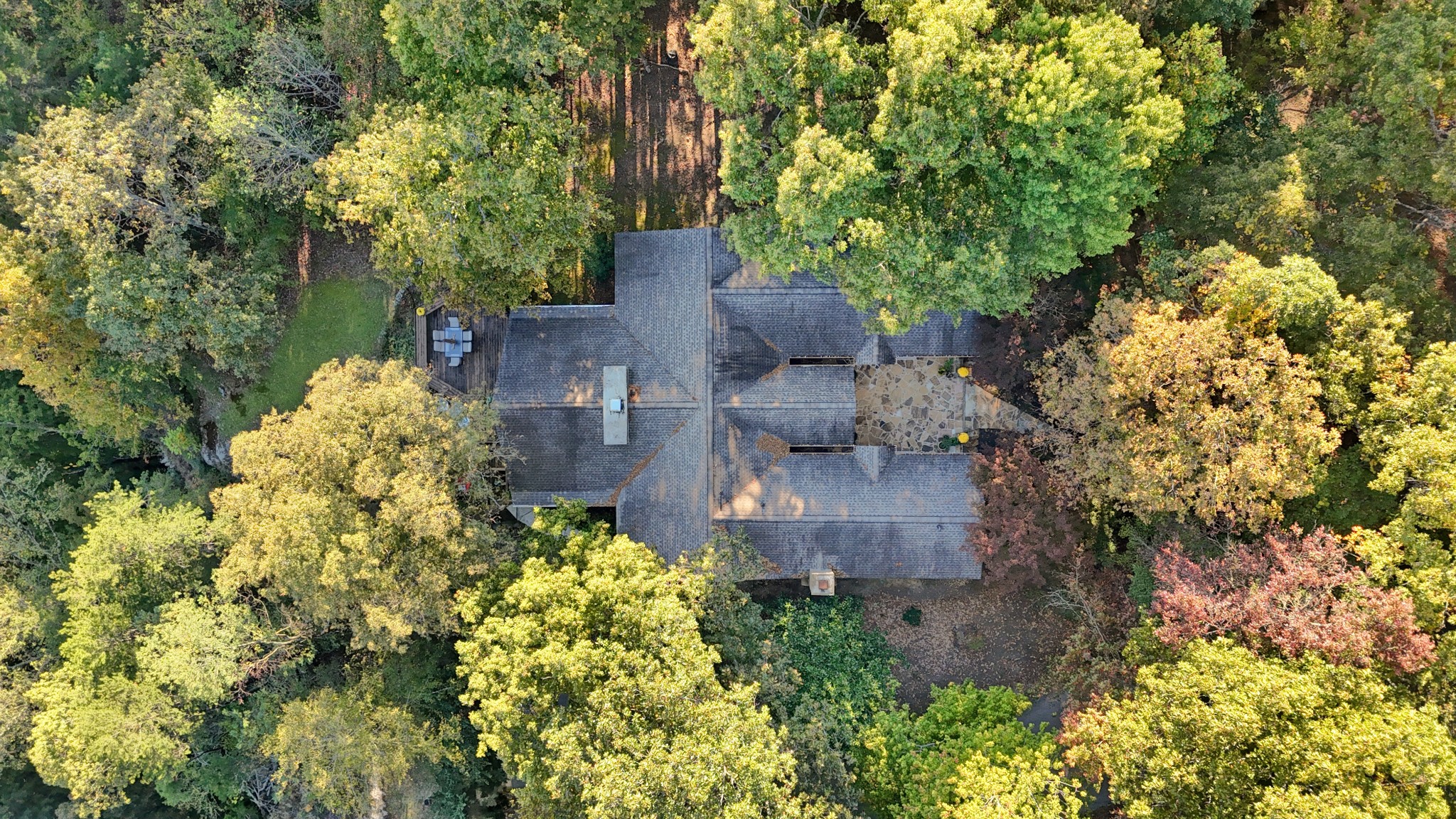 524 Sweetberry Dr