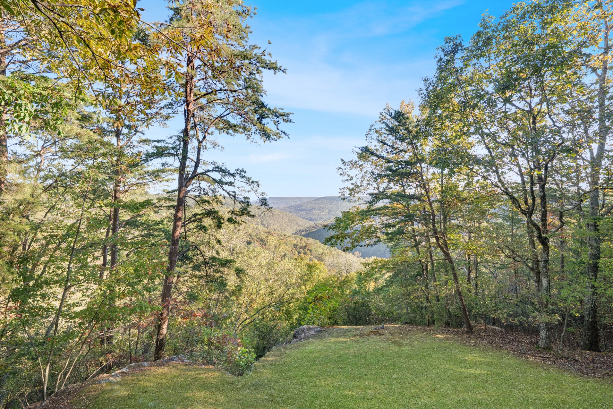 524 Sweetberry Dr