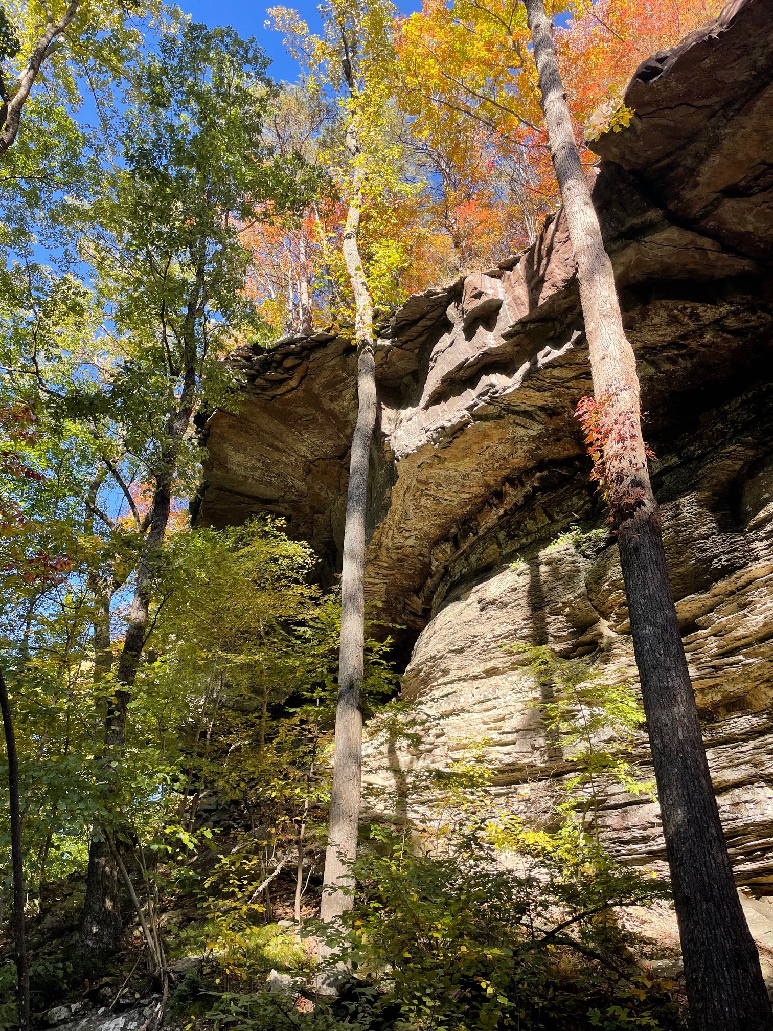 1863 Lake Louisa Loop