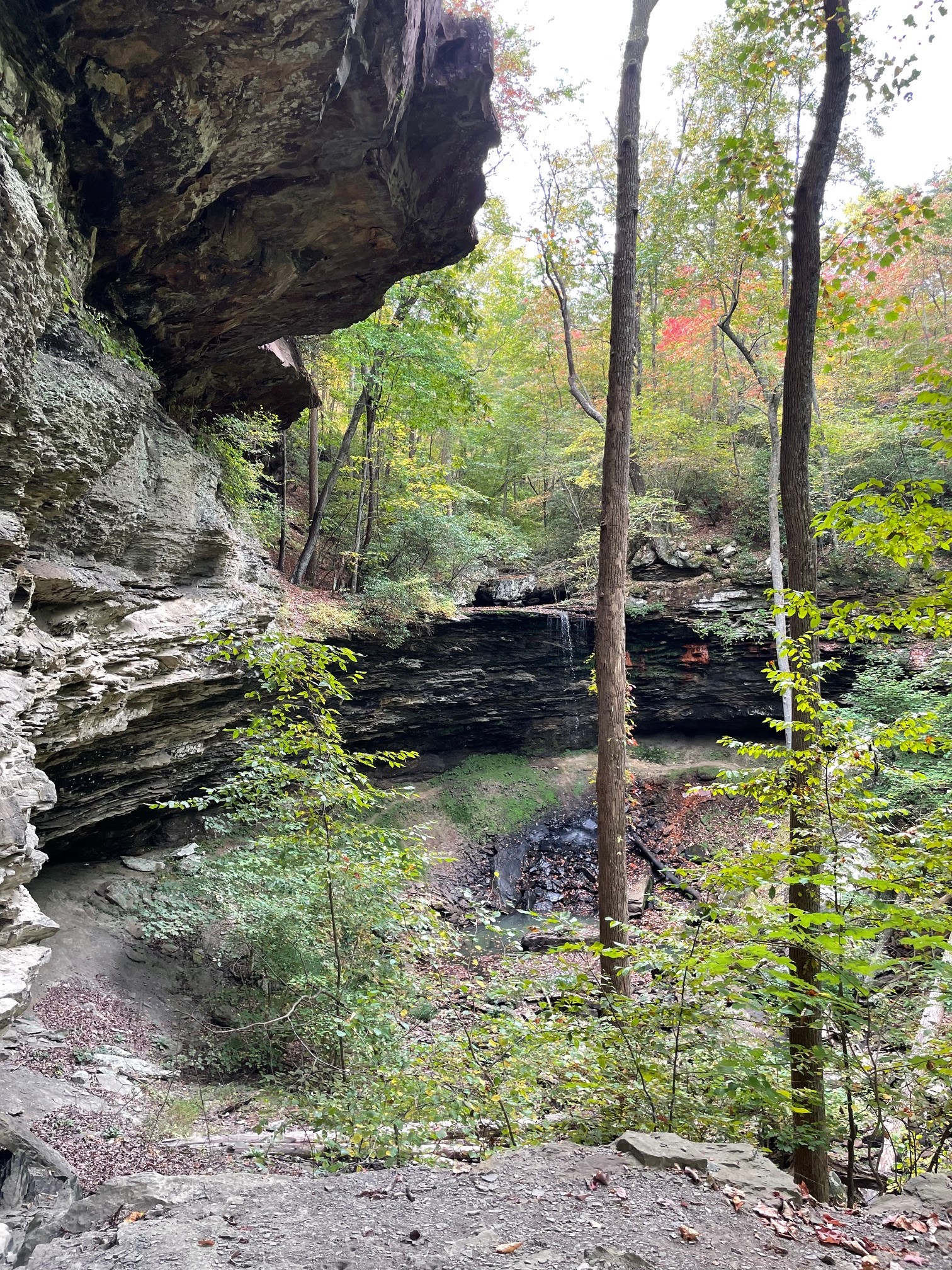 1863 Lake Louisa Loop