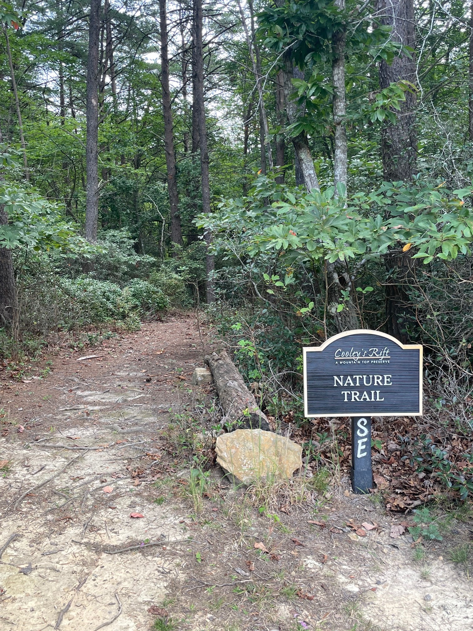 1651 Lake Louisa Loop