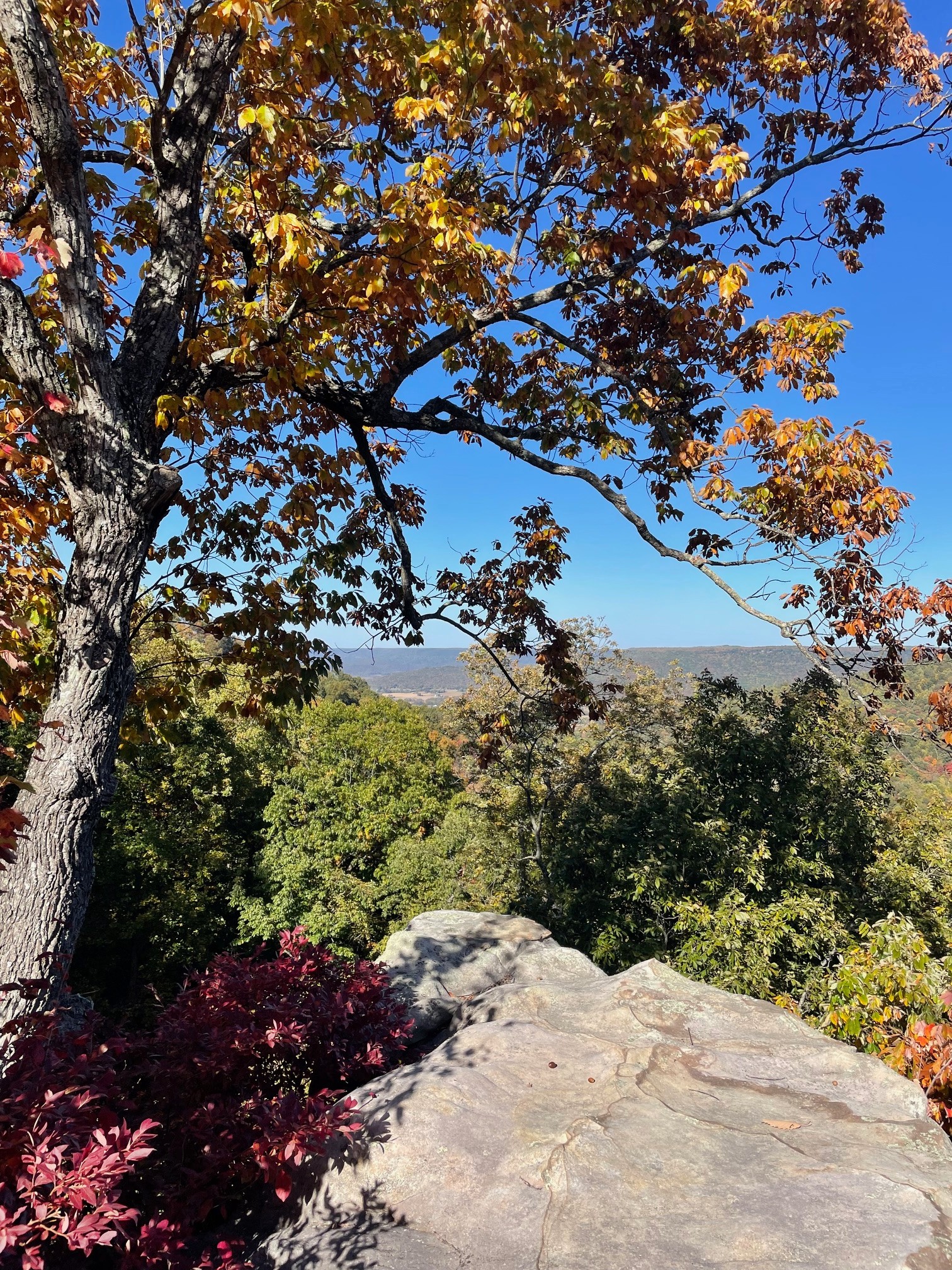 1651 Lake Louisa Loop