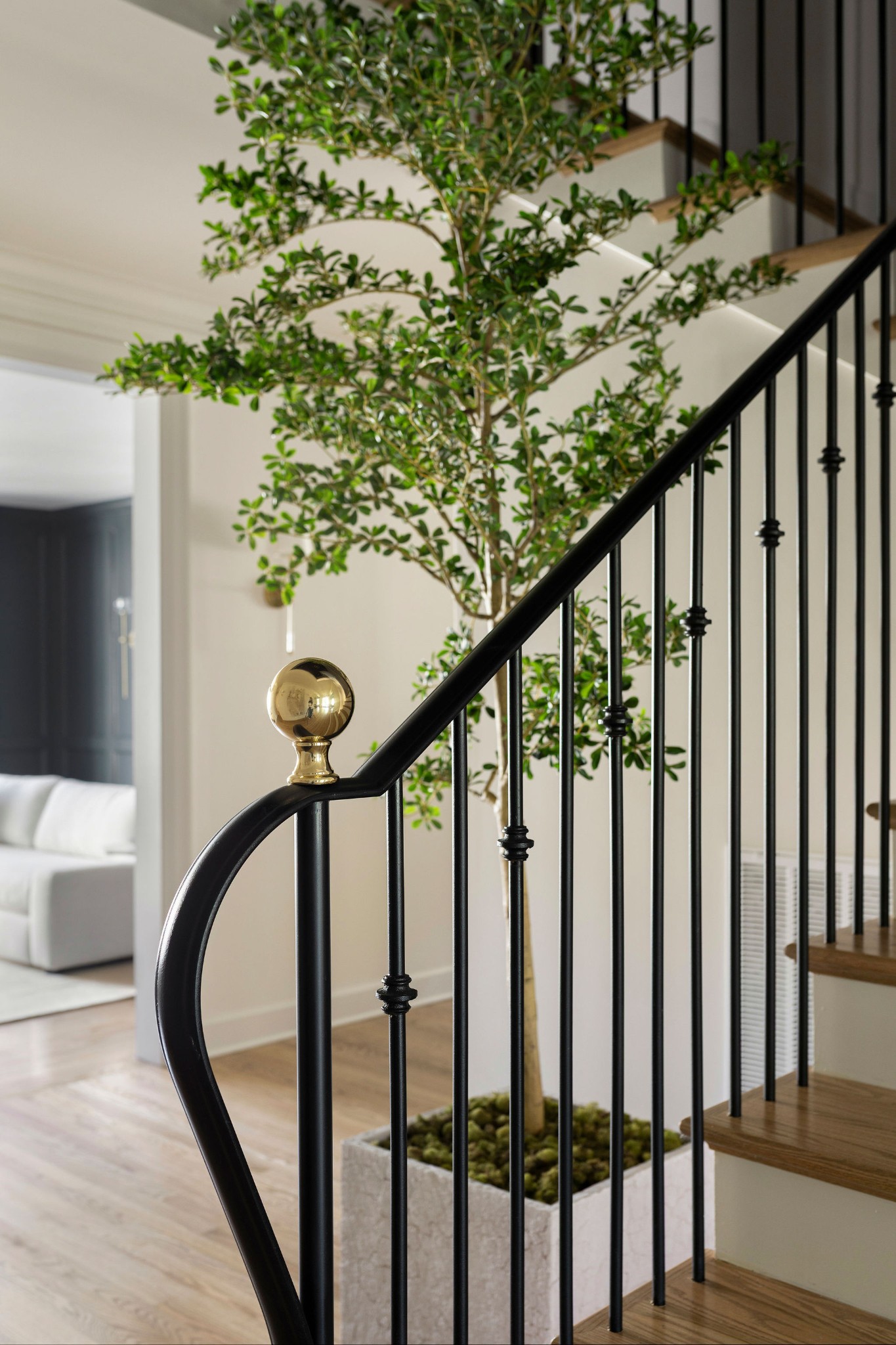 407 Hyde Park
