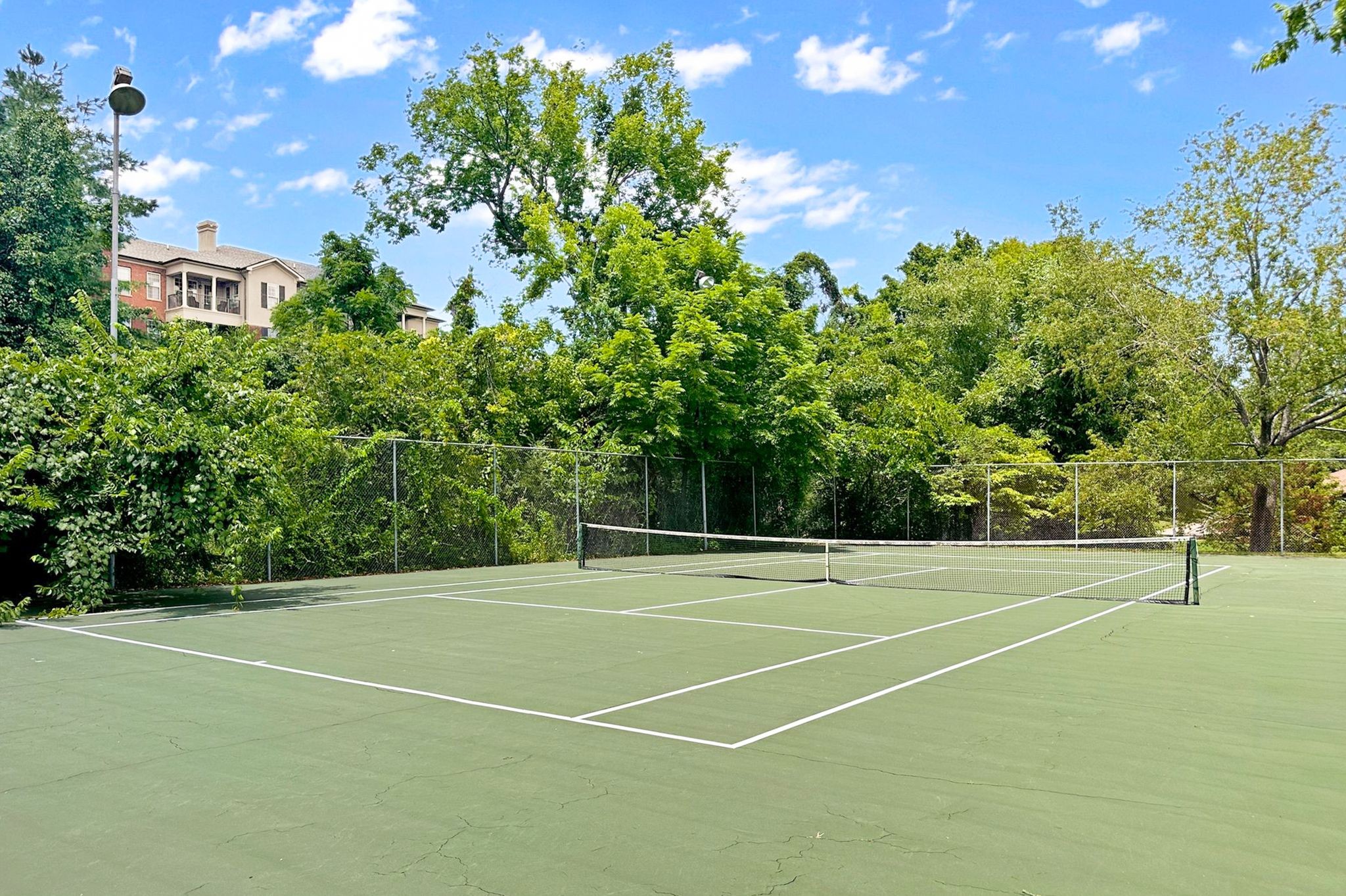 229 Hearthstone Manor Ln