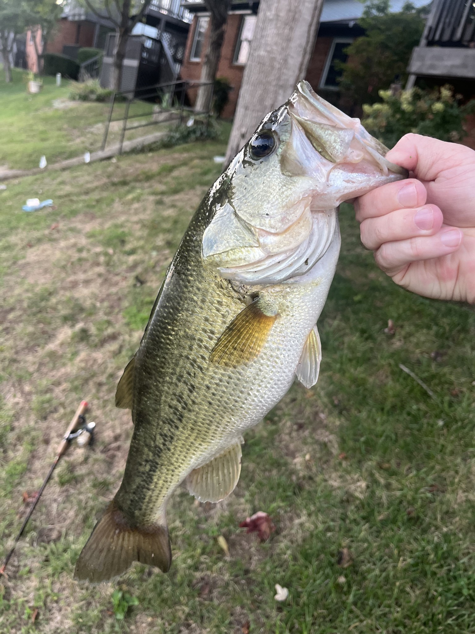 229 Hearthstone Manor Ln