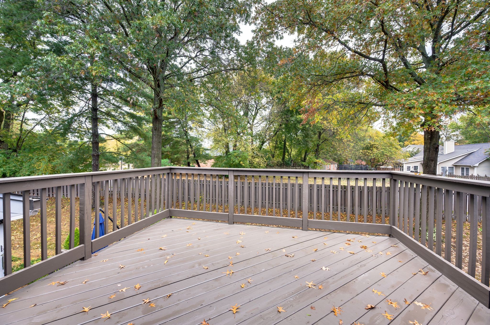 229 Hearthstone Manor Ln